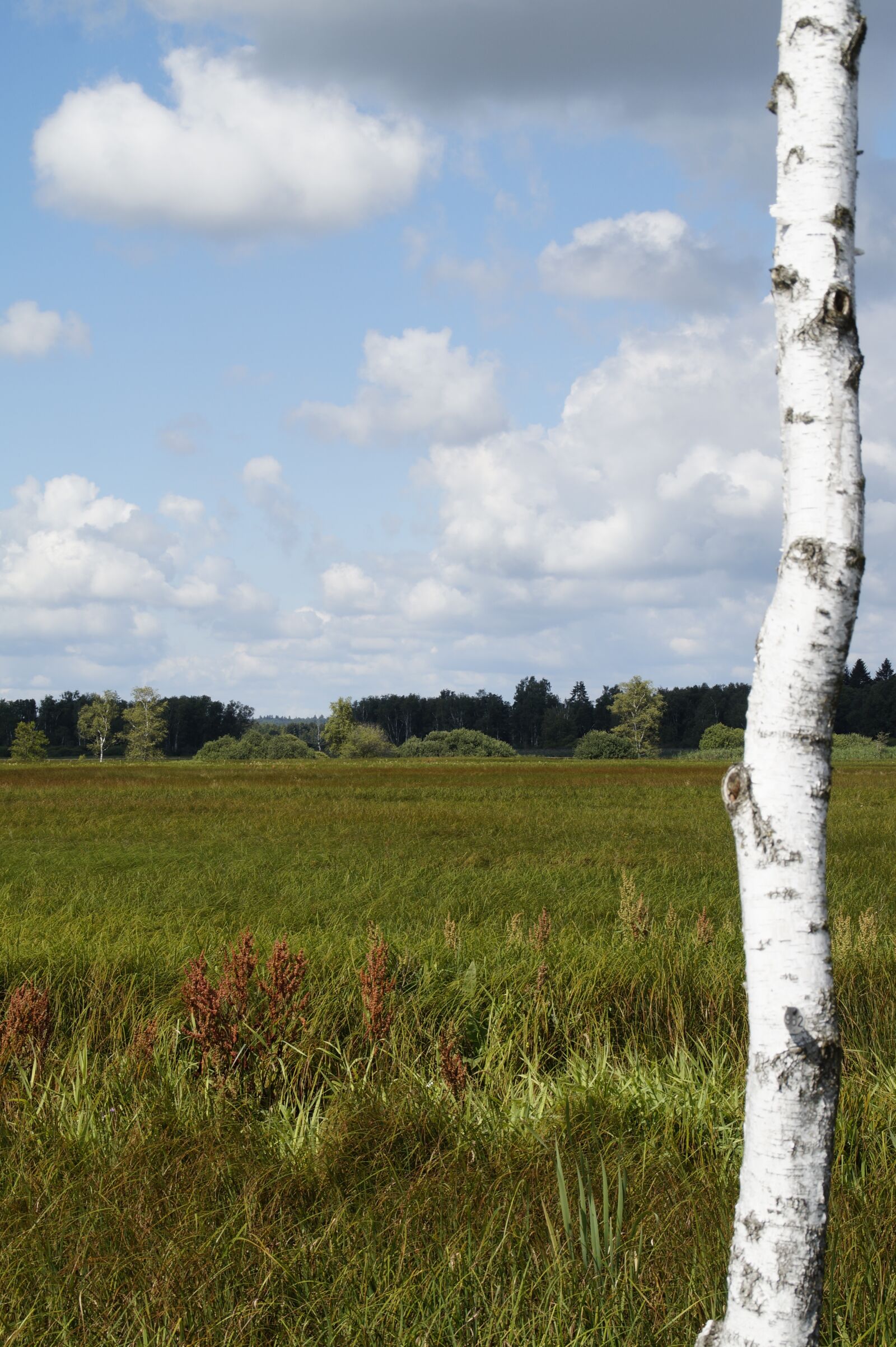 Sony SLT-A58 sample photo. Landscape, spring lake, nature photography