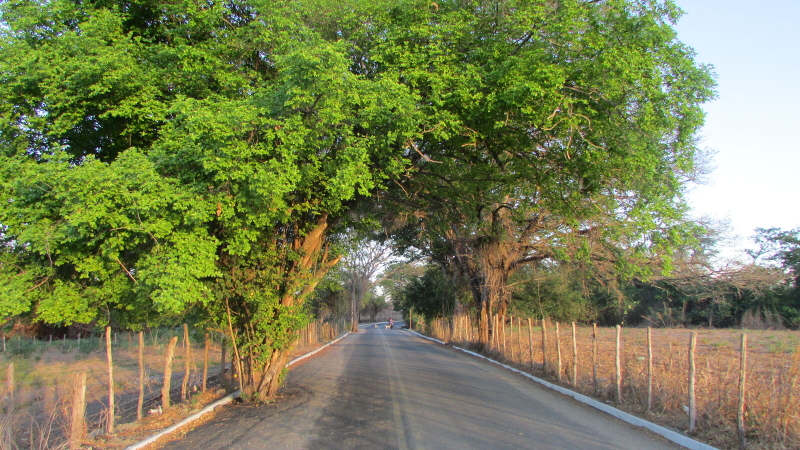 Canon PowerShot SX500 IS sample photo. Quixada, ceara, brasil photography