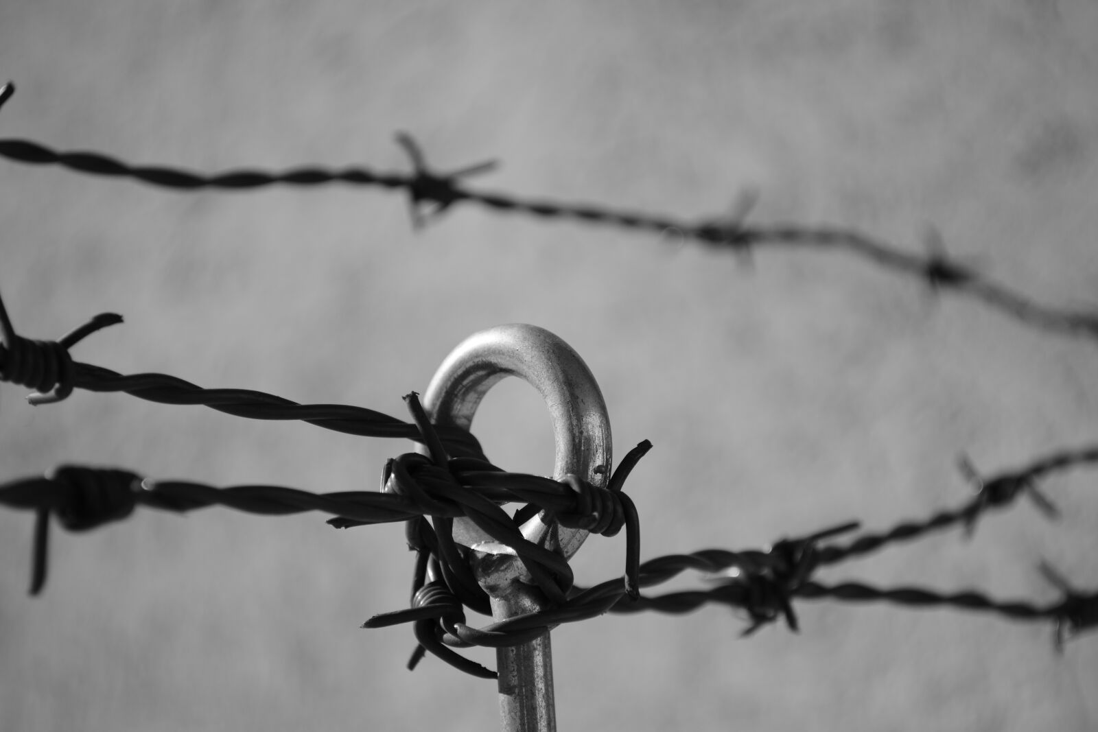 Nikon D5200 sample photo. Barbed wire, security, prison photography