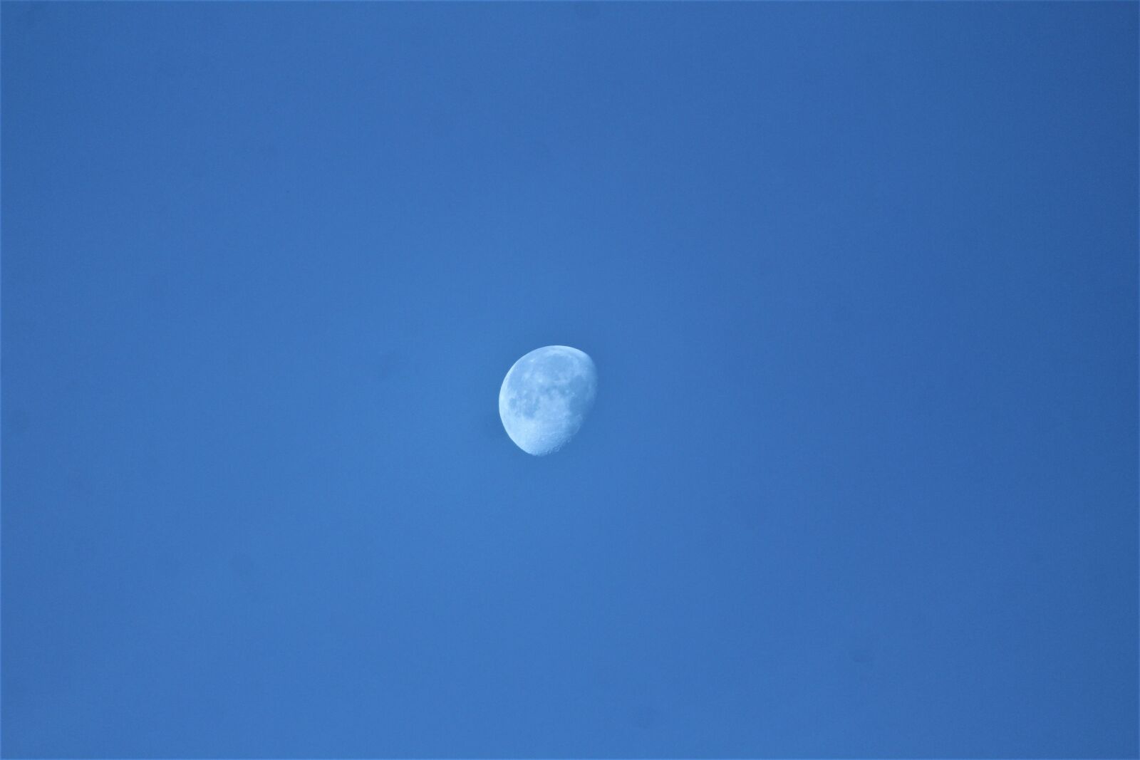 Canon EOS 1200D (EOS Rebel T5 / EOS Kiss X70 / EOS Hi) sample photo. Moon, morning, sky photography