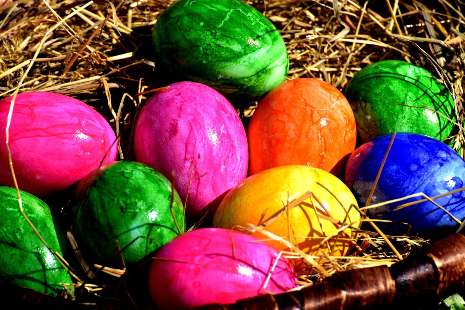 Nikon D7200 sample photo. Egg, colored, colorful photography
