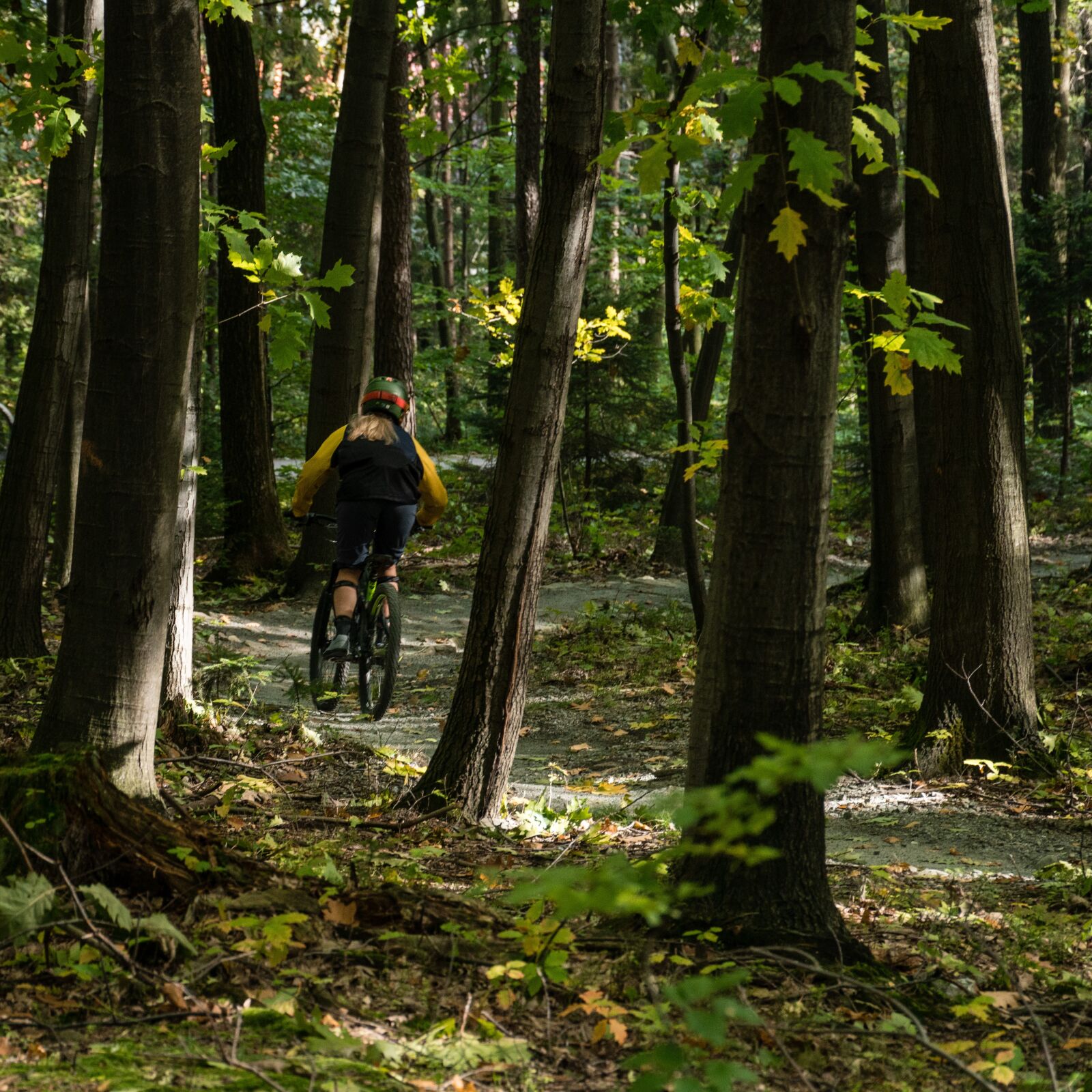 Sony a6300 + Sony E PZ 18-105mm F4 G OSS sample photo. Sport, bike, enduro photography