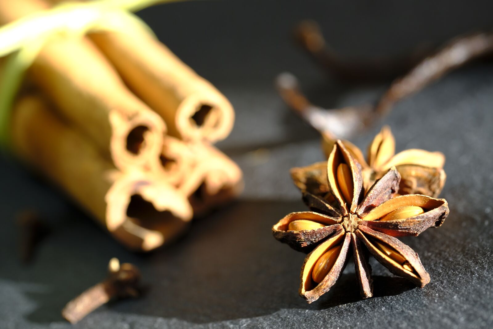Fujifilm X-T2 + Fujifilm XF 80mm F2.8 R LM OIS WR Macro sample photo. Anise, star anise, cinnamon photography