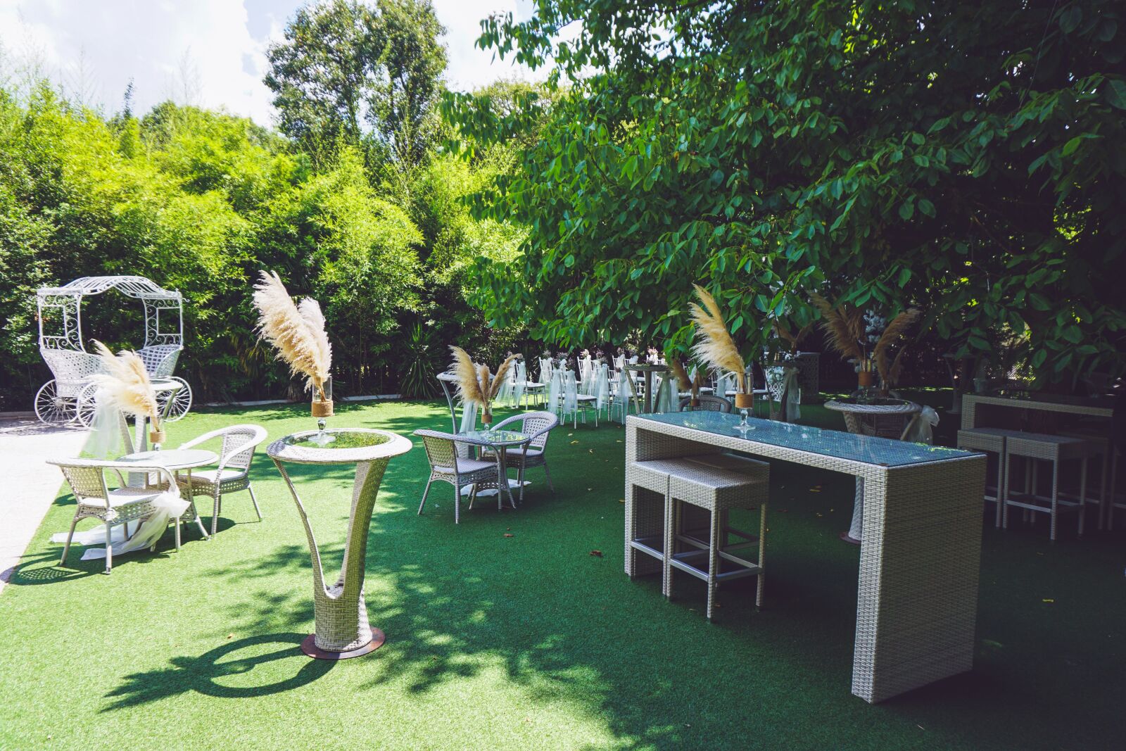 Sony a6000 sample photo. Garden, green, decoration photography