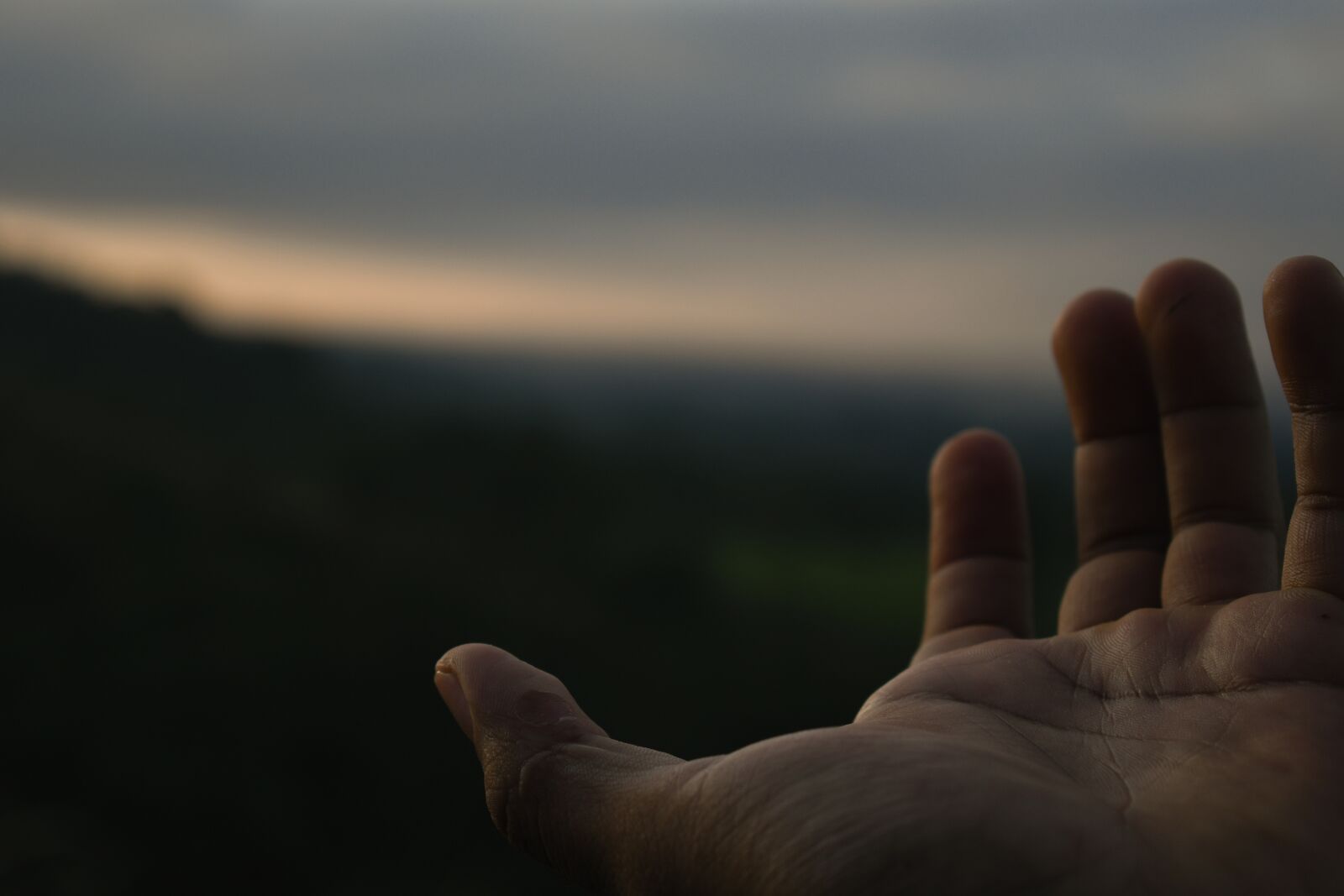 Nikon D7500 sample photo. Hand, sky, freedom photography