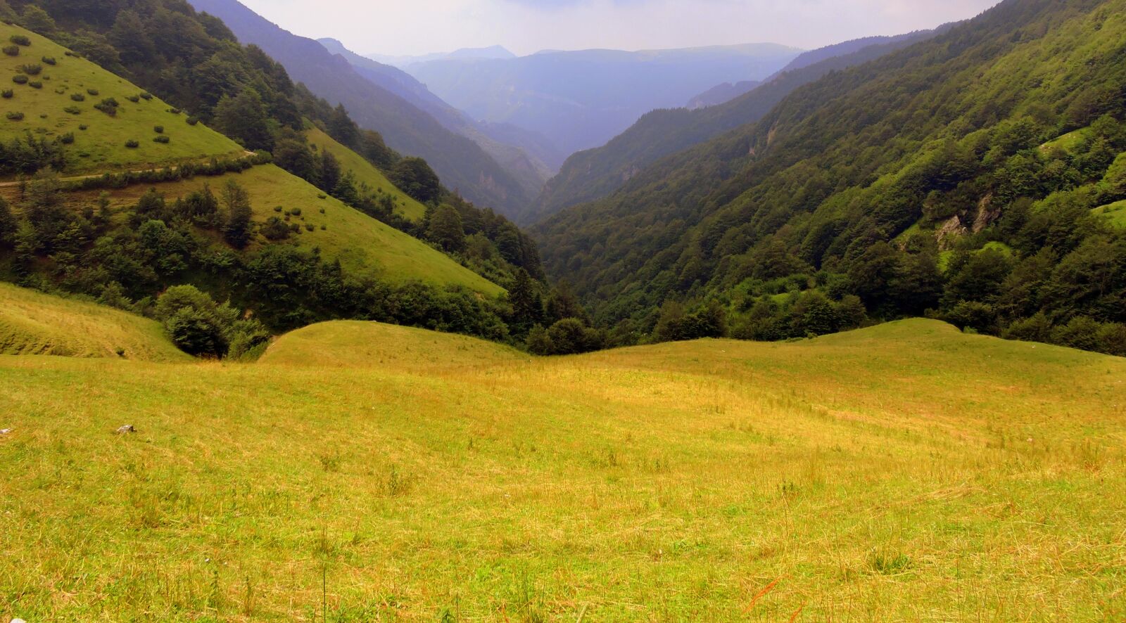 Nikon Coolpix P600 sample photo. Valle, prato, mountain photography