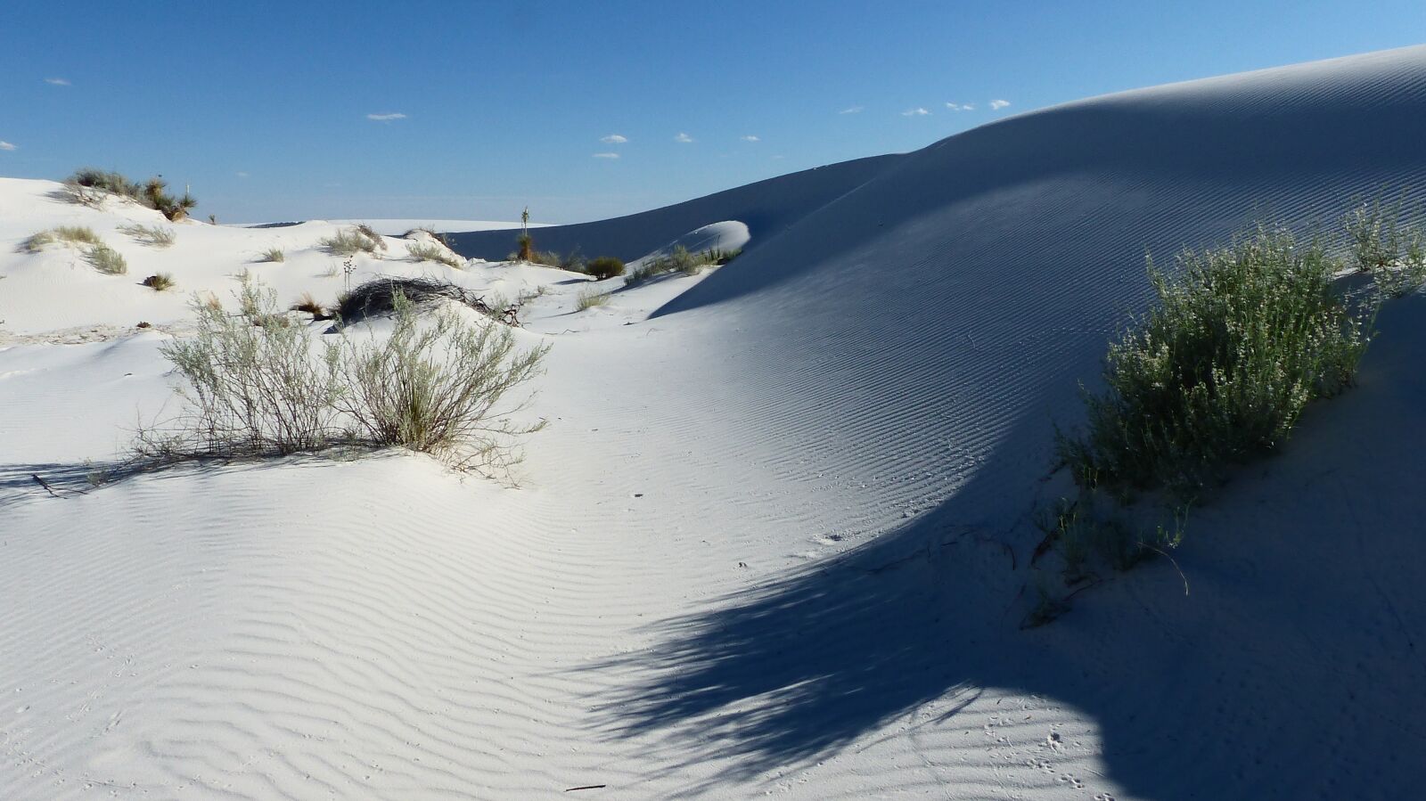 Panasonic Lumix DMC-FZ200 sample photo. Nature, dune, sand photography
