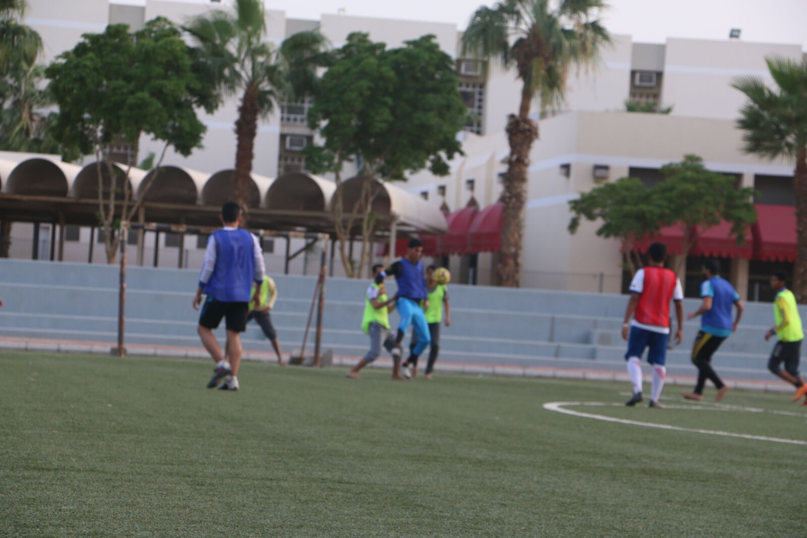 Canon EOS 70D sample photo