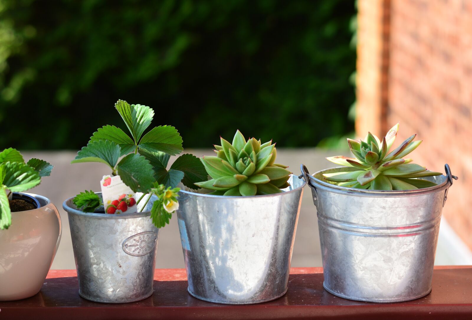 Nikon D5200 sample photo. Balcony plants, balcony, still photography