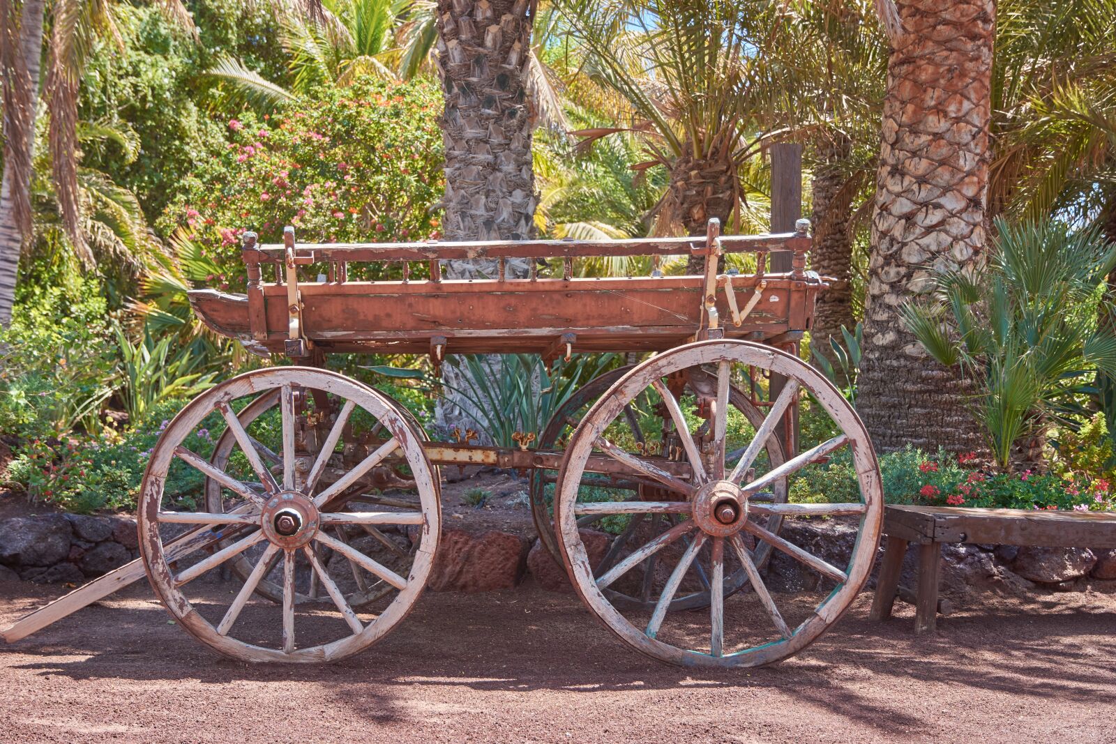 Nikon D7200 sample photo. Dare, wood, wagon wheel photography