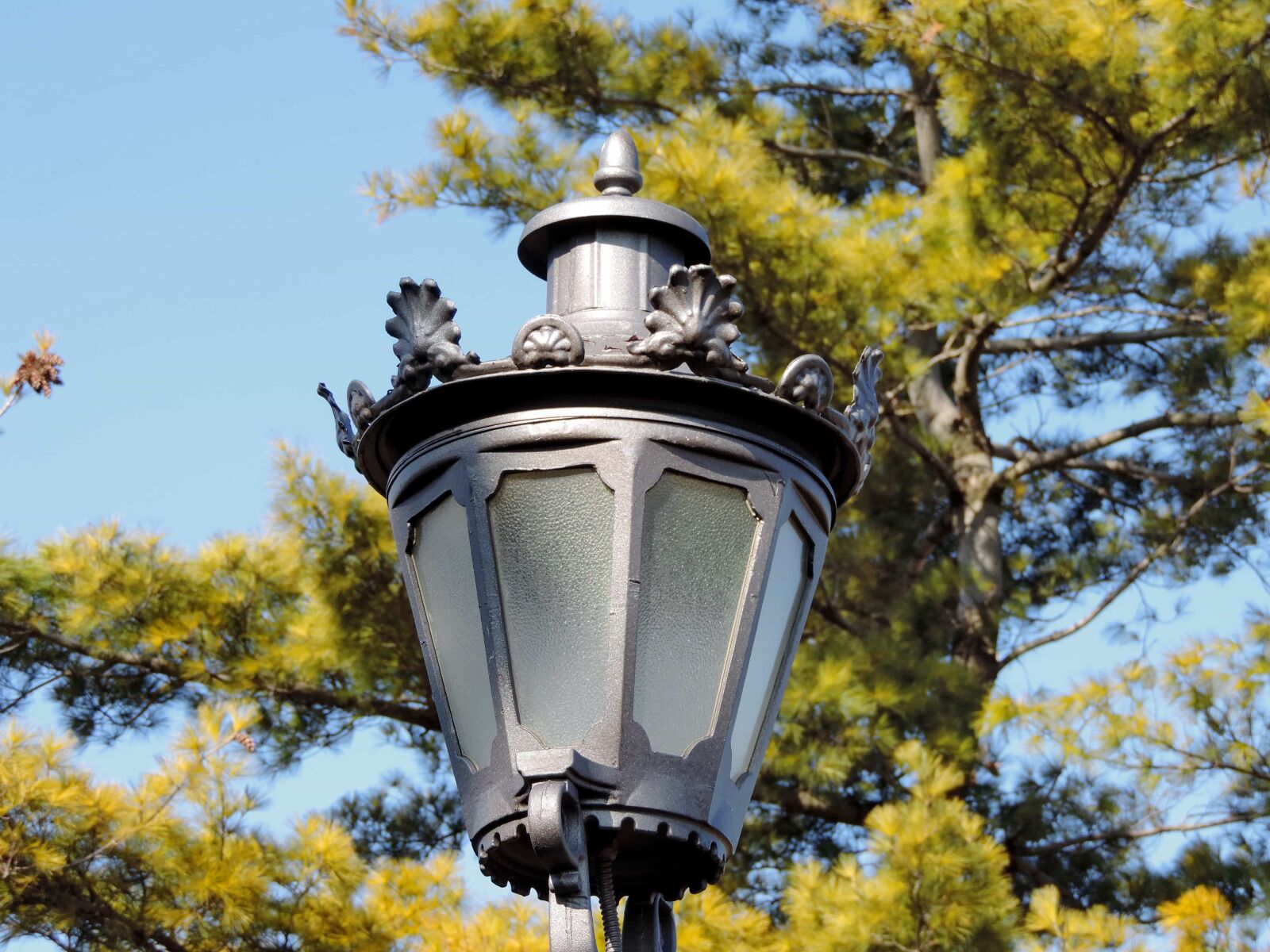 Nikon Coolpix P520 sample photo. Outdoors, lamp, lantern, nature photography