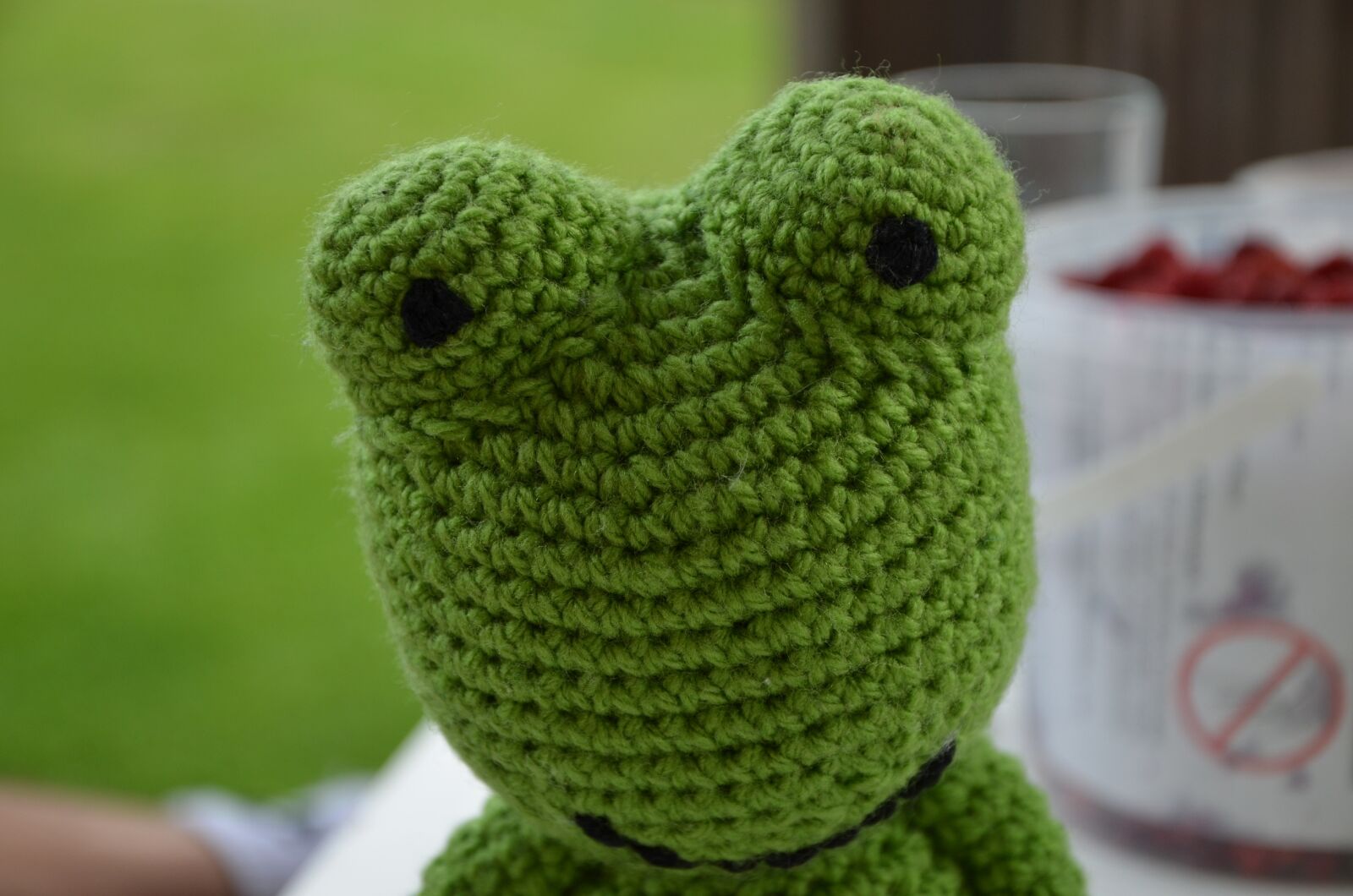 Nikon D7000 sample photo. Frog, crochet, nature photography