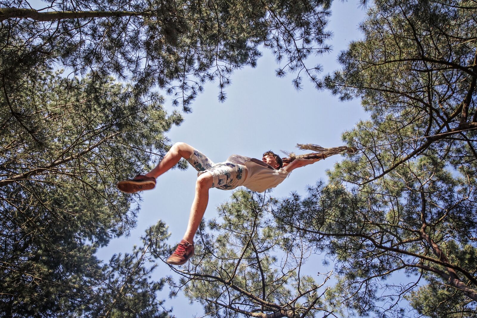 Canon EOS 7D sample photo. Trees, rope swing, low photography