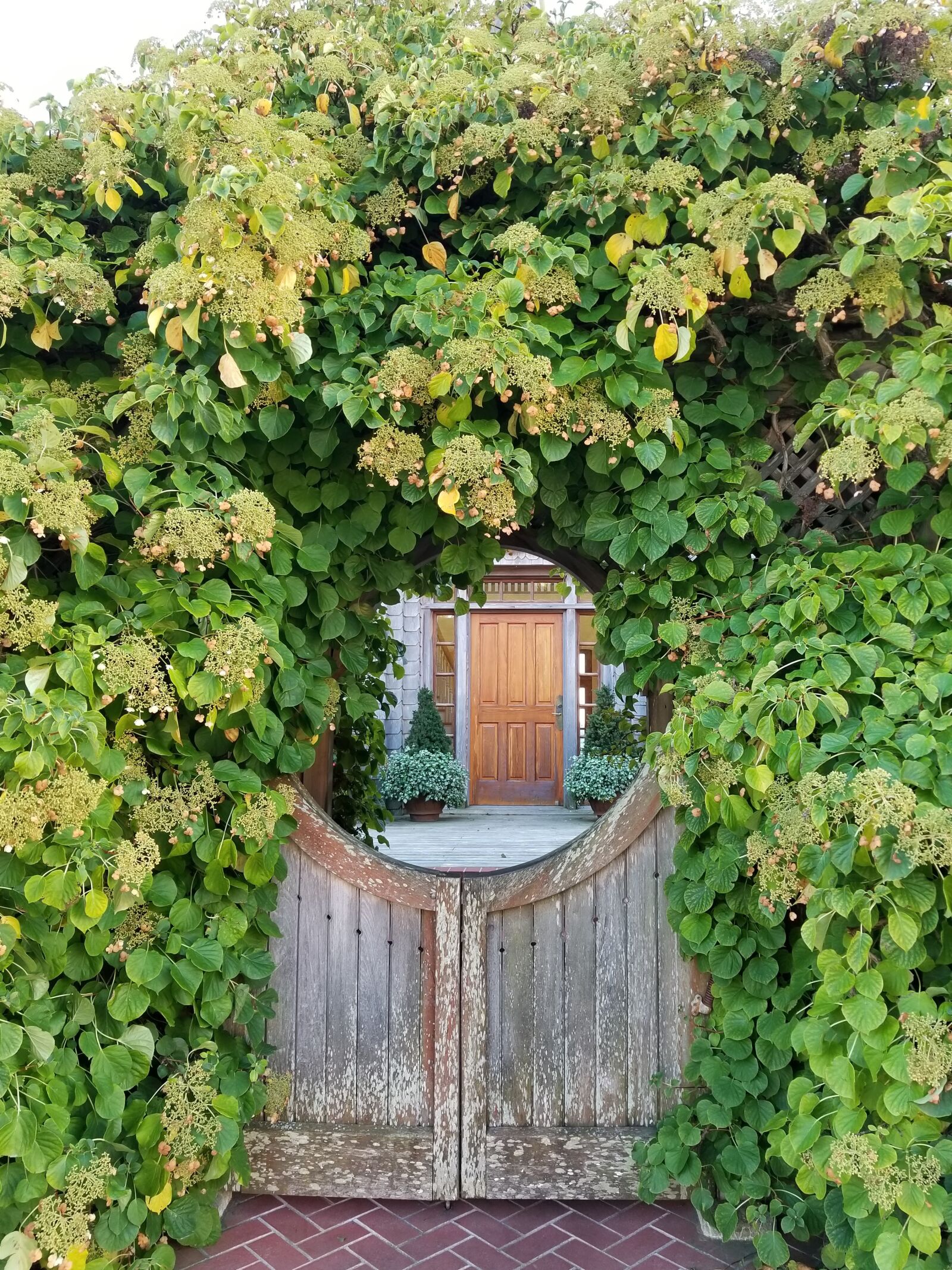 Samsung Galaxy S8+ sample photo. Gate, michigan, lake photography