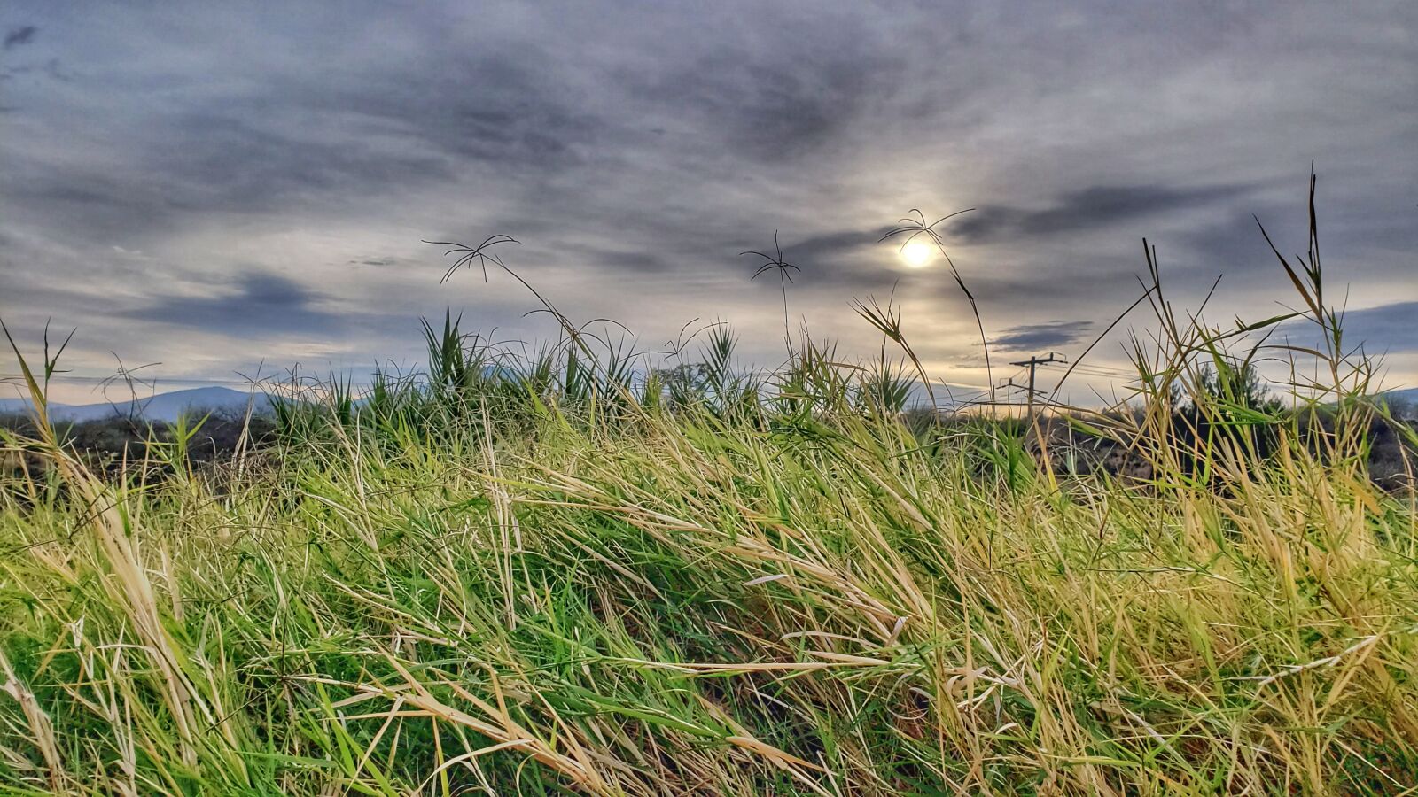 Samsung Galaxy S9+ sample photo. Landscape, sky, nature photography