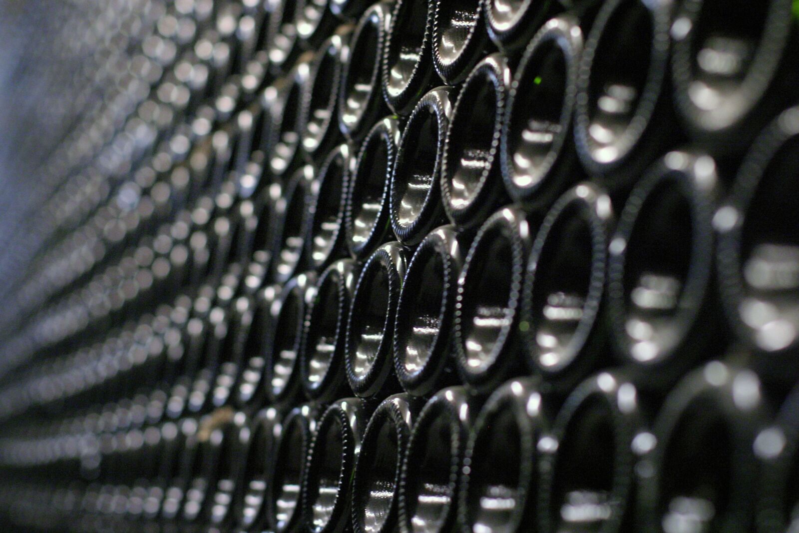 Canon EOS 10D sample photo. Wine cellar, wine bottle photography