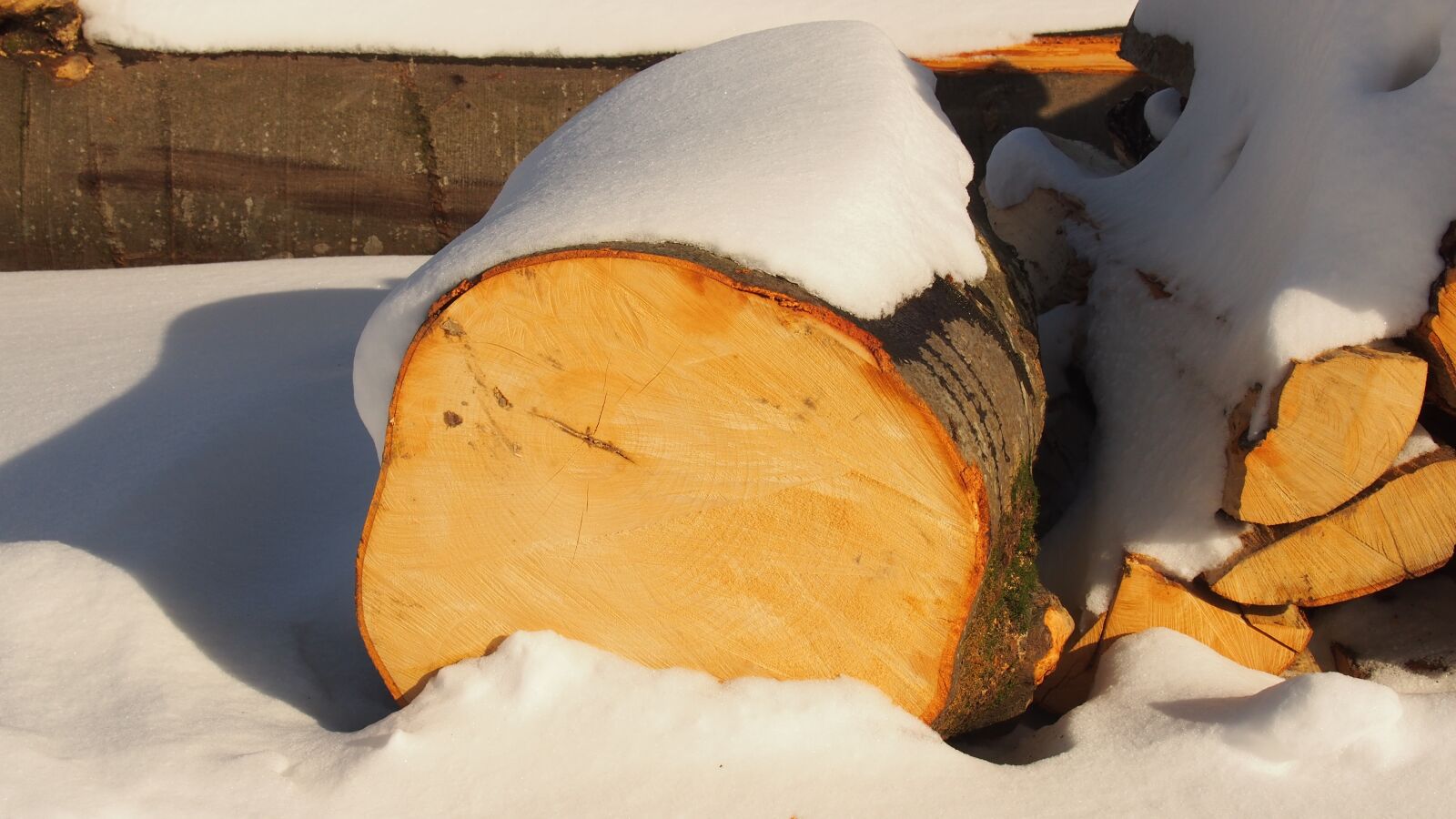 Olympus PEN E-PM2 sample photo. Log, wood, snow photography
