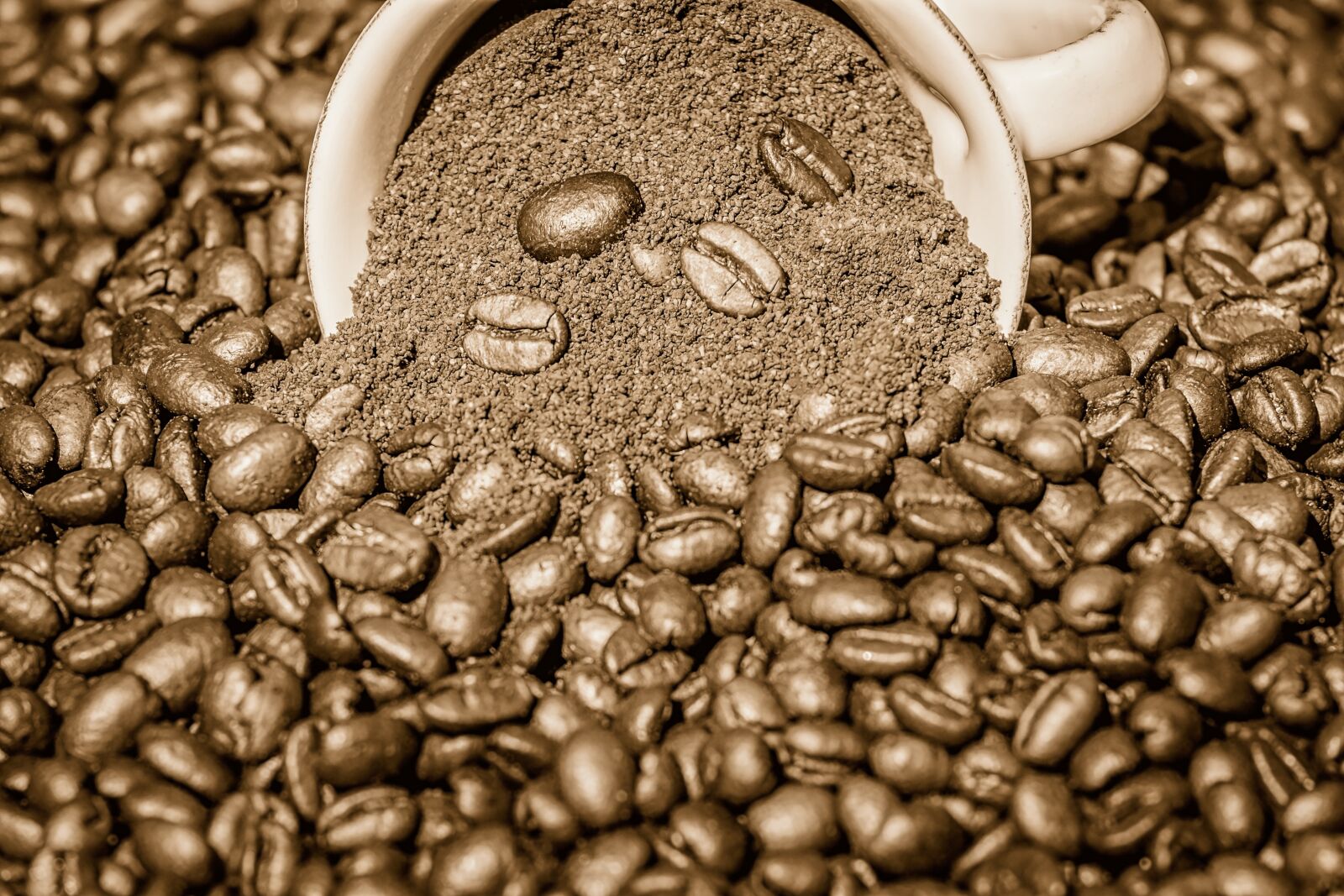 Fujifilm XF 55-200mm F3.5-4.8 R LM OIS sample photo. Coffee cup, porcelain, cup photography