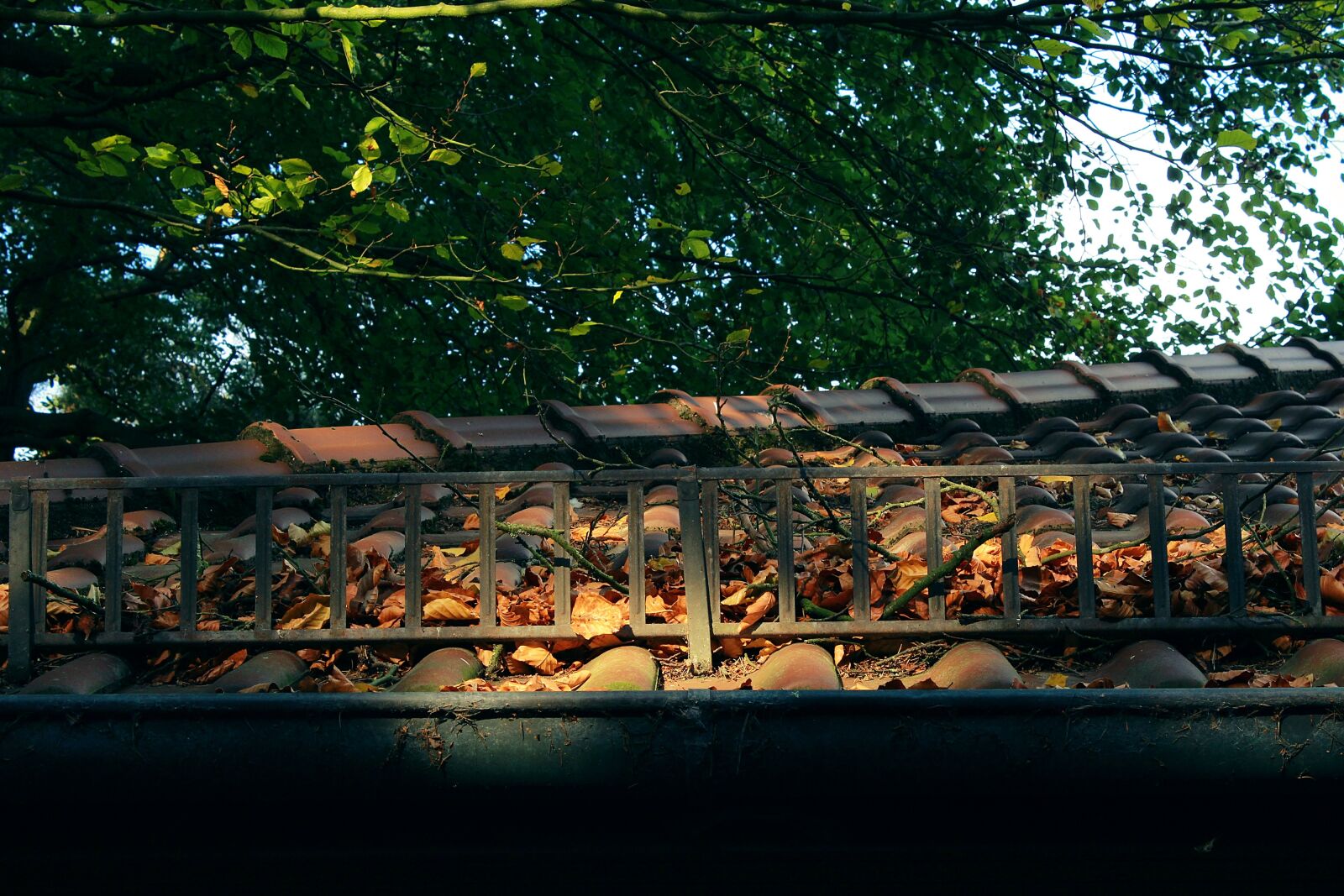 Canon EOS 1200D (EOS Rebel T5 / EOS Kiss X70 / EOS Hi) sample photo. Roof, tree, sun photography