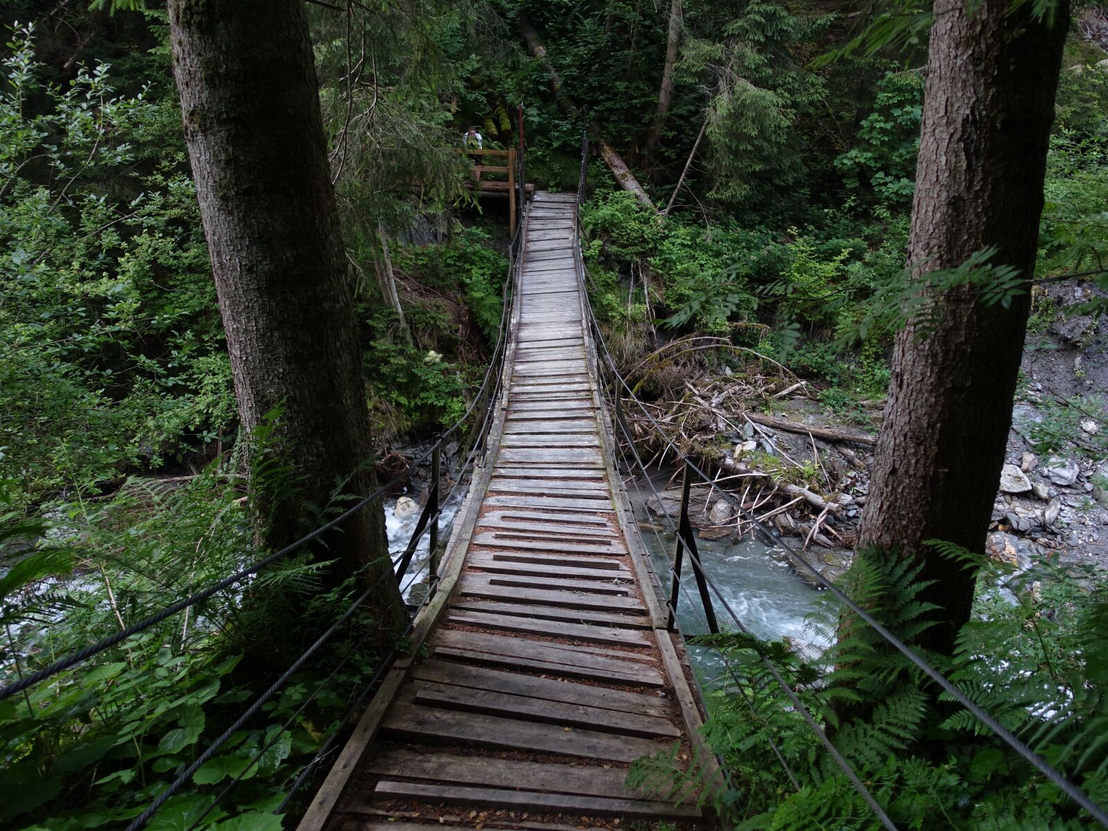 Sony Cyber-shot DSC-RX100 III sample photo. Suspension bridge, forest, bach photography