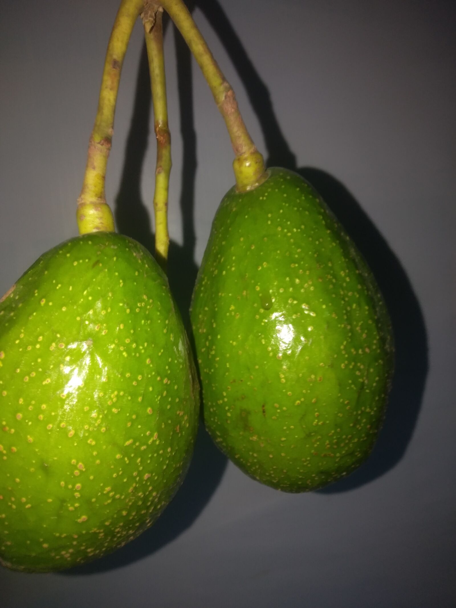 OPPO A3S sample photo. Avocado, freash, fruit photography