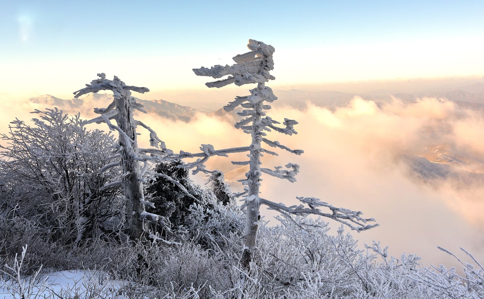 Canon EOS-1D X Mark II sample photo. Snow, winter, nature photography