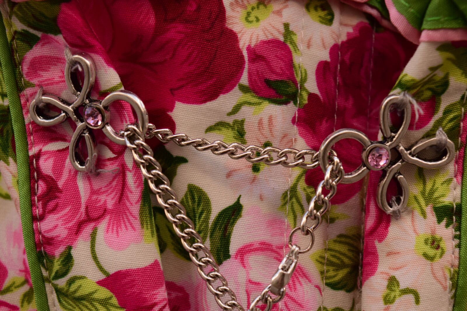 Nikon D3300 sample photo. Dirndl, chain, close up photography