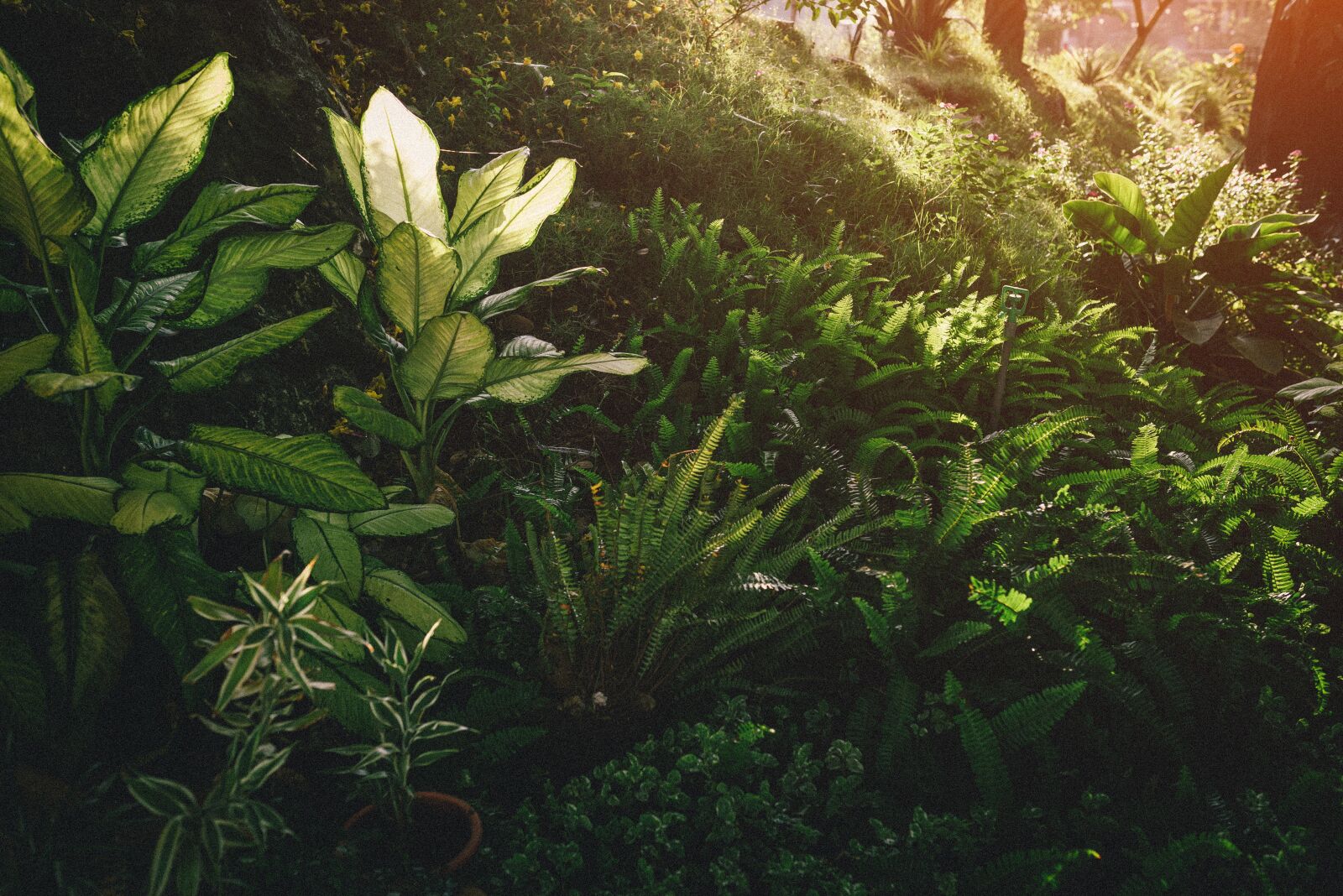 Nikon D750 sample photo. Inspired, creation, wallpaper photography