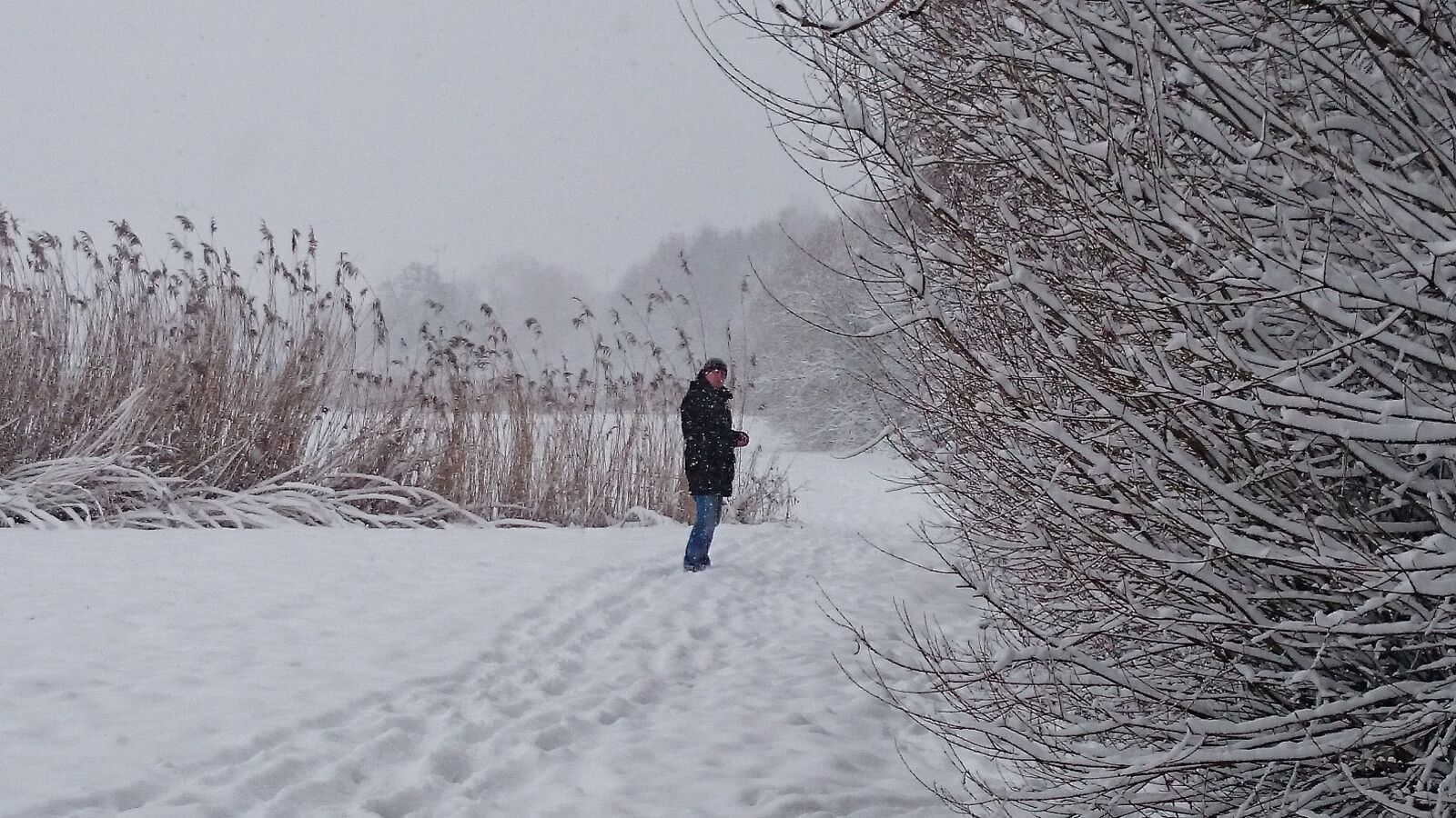 Sony Xperia Z1 Compact sample photo. Winter, snow, biel photography