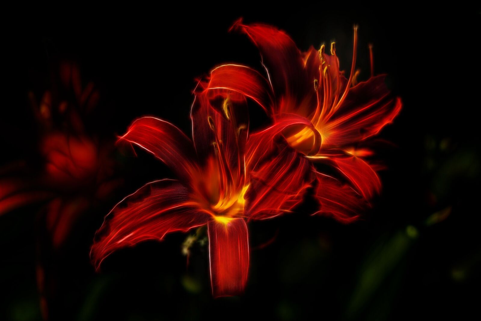Canon PowerShot G15 sample photo. Hemerocallis hybrid, daylily, fractalius photography