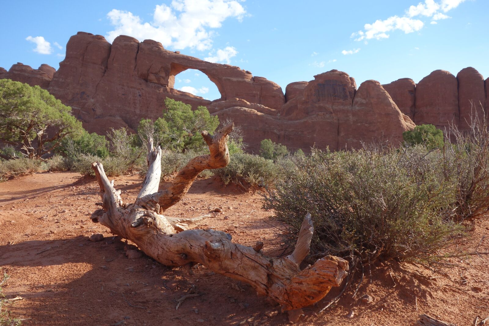 Sony Cyber-shot DSC-RX100 sample photo. Nature, desert, landscape photography