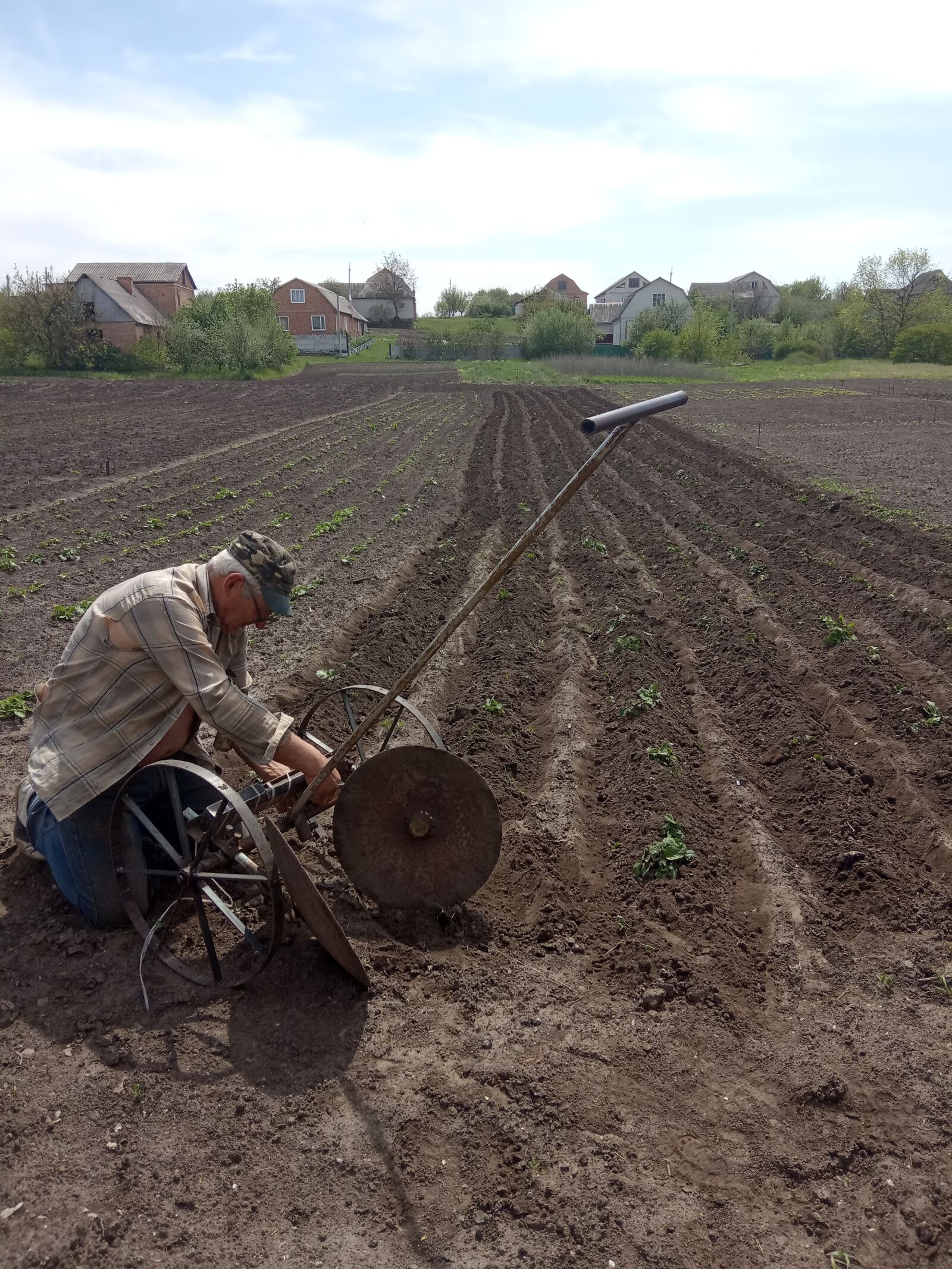 Xiaomi Redmi 6A sample photo. Planting potatoes, farmer, potato photography