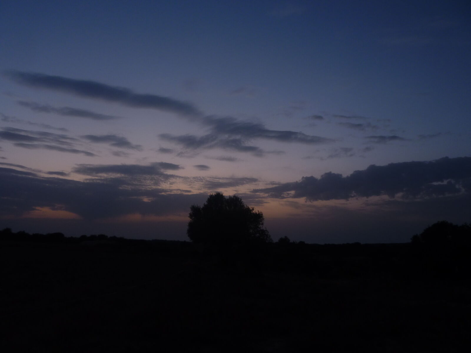 Panasonic DMC-TZ7 sample photo