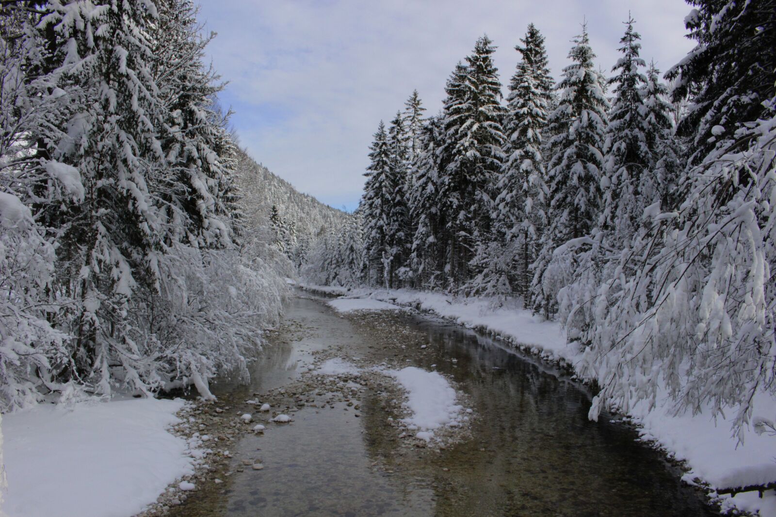 Canon EOS 100D (EOS Rebel SL1 / EOS Kiss X7) sample photo. Bach, snow, trees photography