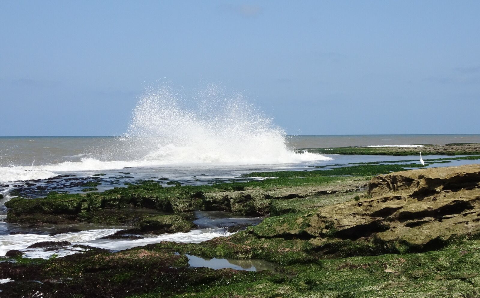Sony Cyber-shot DSC-HX90V sample photo. Sea, wave, shore photography