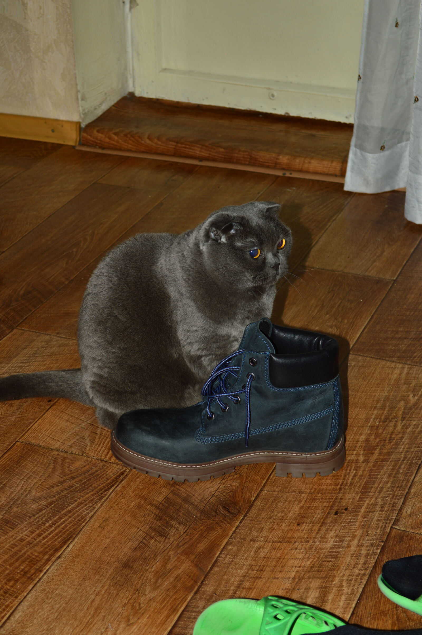 Nikon D3200 sample photo