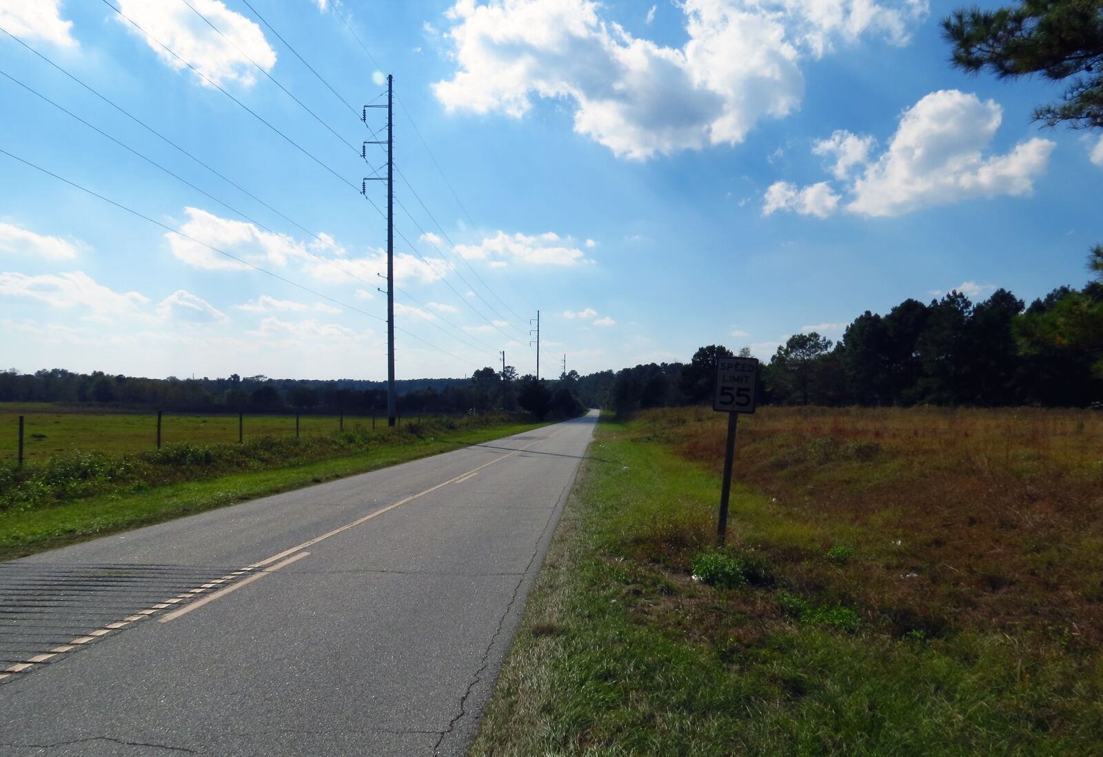 Canon PowerShot SX40 HS sample photo. Southern georgia, country road photography