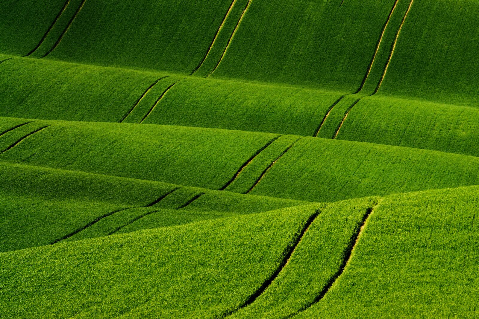 Sony ILCA-77M2 + Minolta AF 200mm F2.8 HS-APO G sample photo. Shading, spring, landscape photography