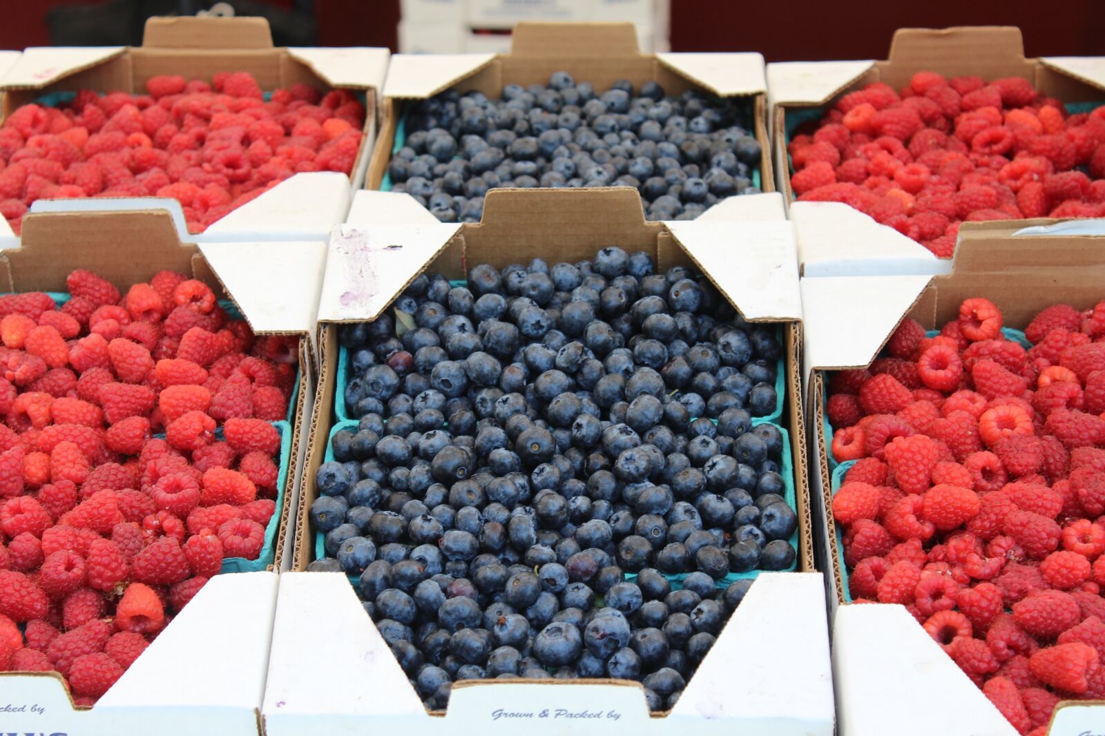 Canon EOS 600D (Rebel EOS T3i / EOS Kiss X5) sample photo. Raspberries, blueberries, berries photography
