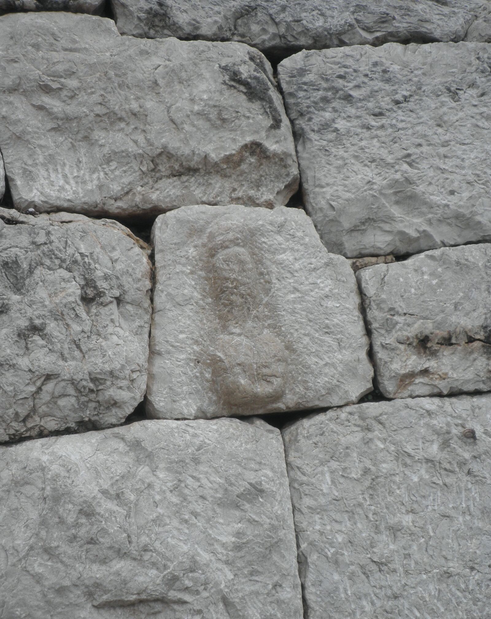 Olympus FE4010,X930 sample photo. Stone, ampurias, rome photography