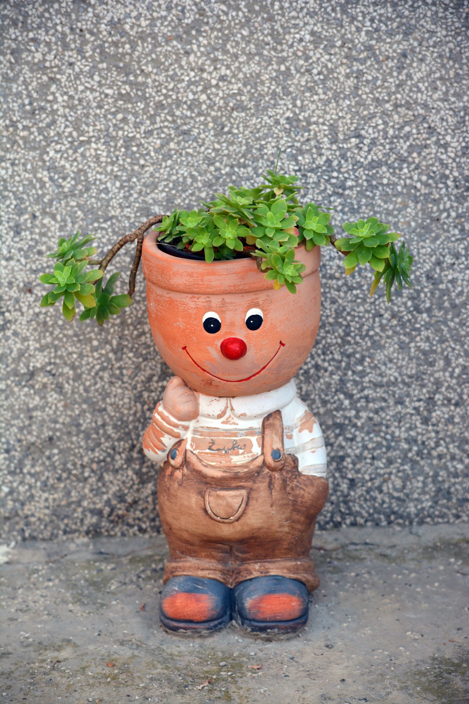 Nikon D5200 sample photo. Flower pot, vase, decoration photography