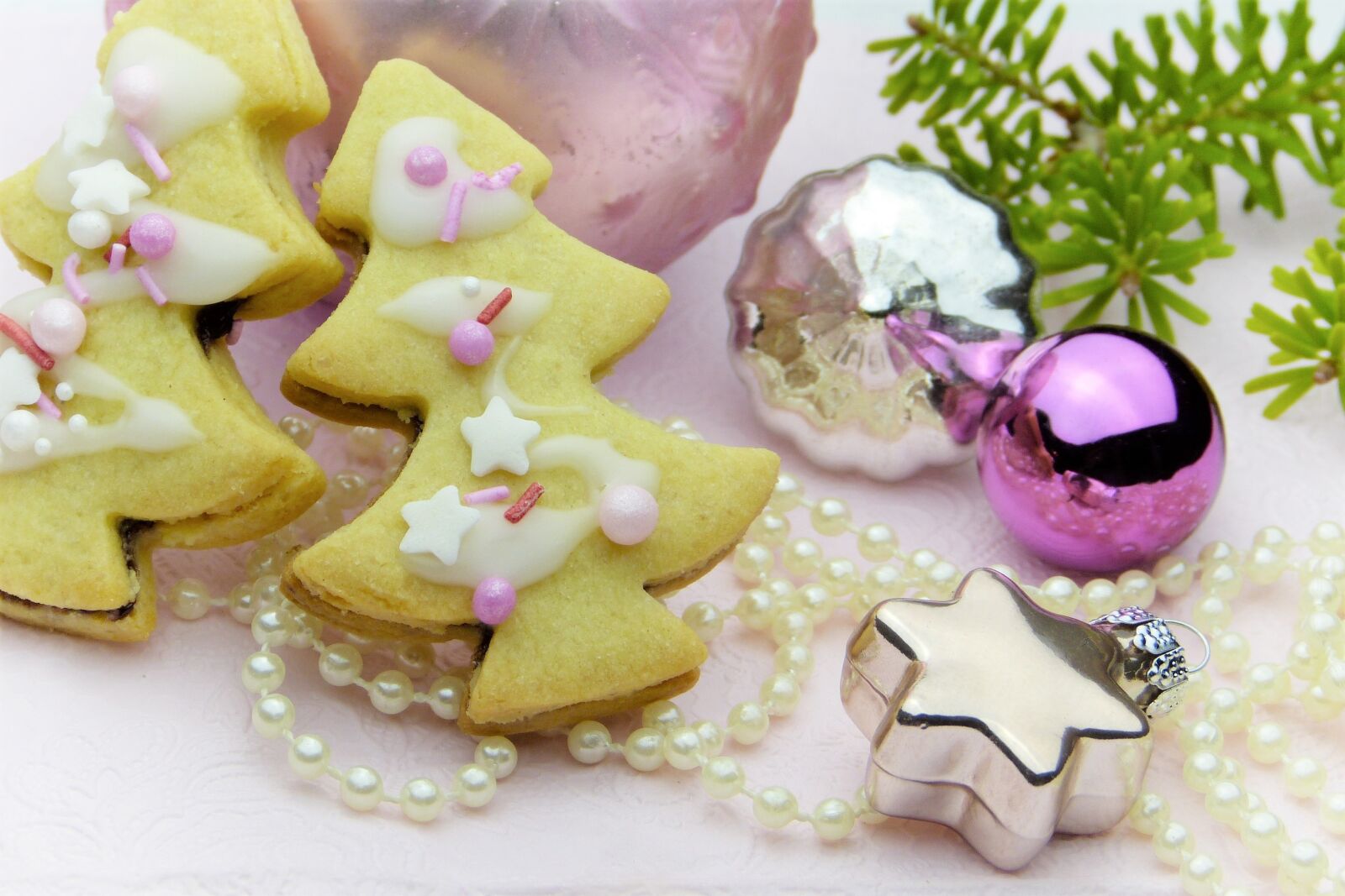 Panasonic Lumix DMC-FZ150 sample photo. Cookie, christmas cookies, fir photography