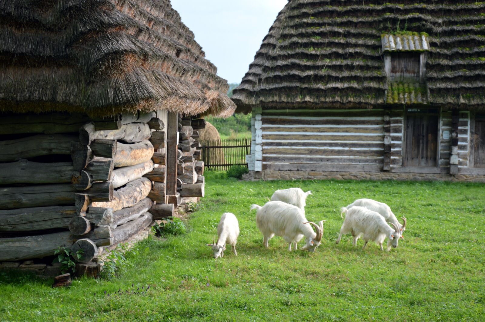 Nikon D3200 sample photo. Cottage, hut, houses photography