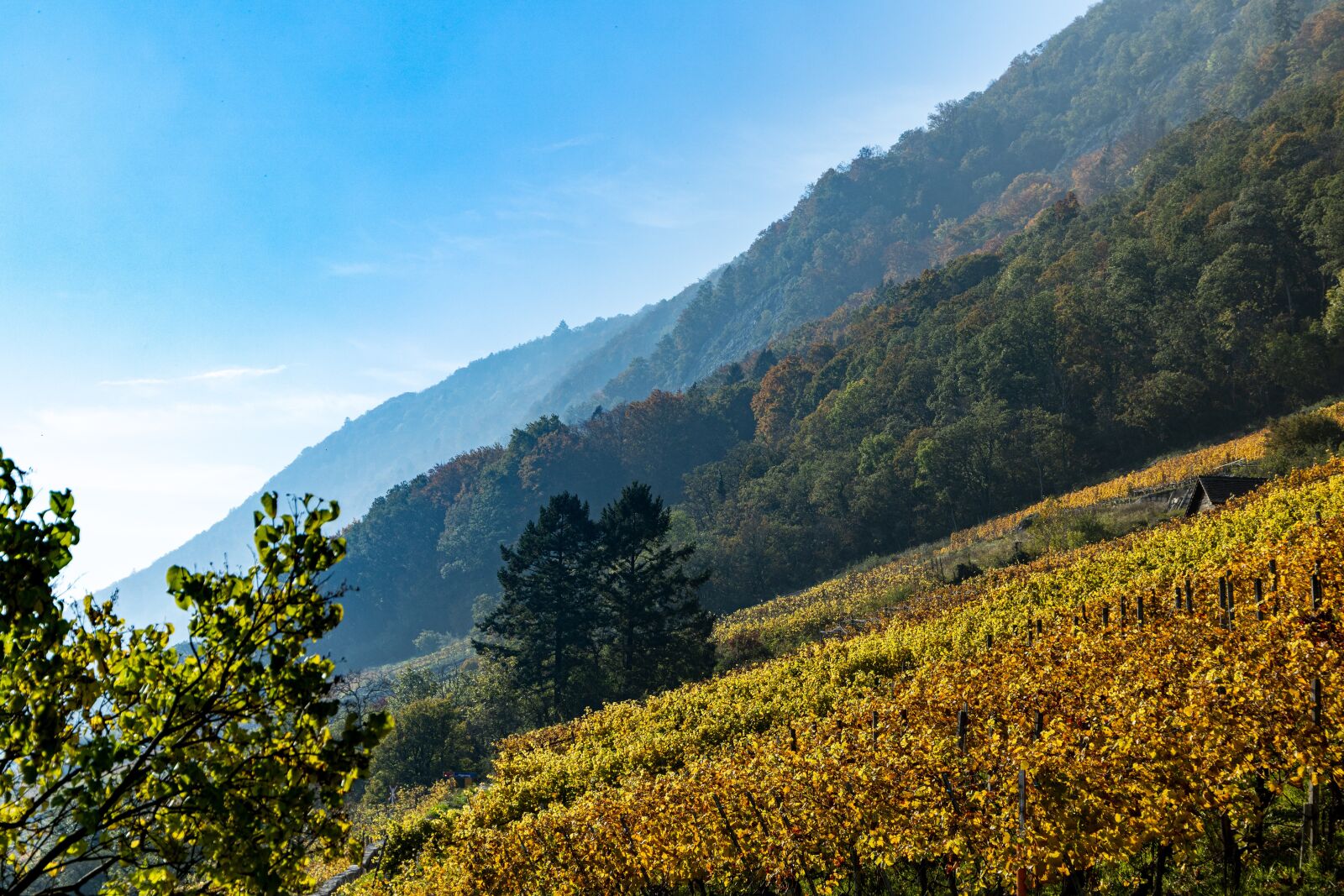 Canon EOS R sample photo. Autumn, hill, landscape photography
