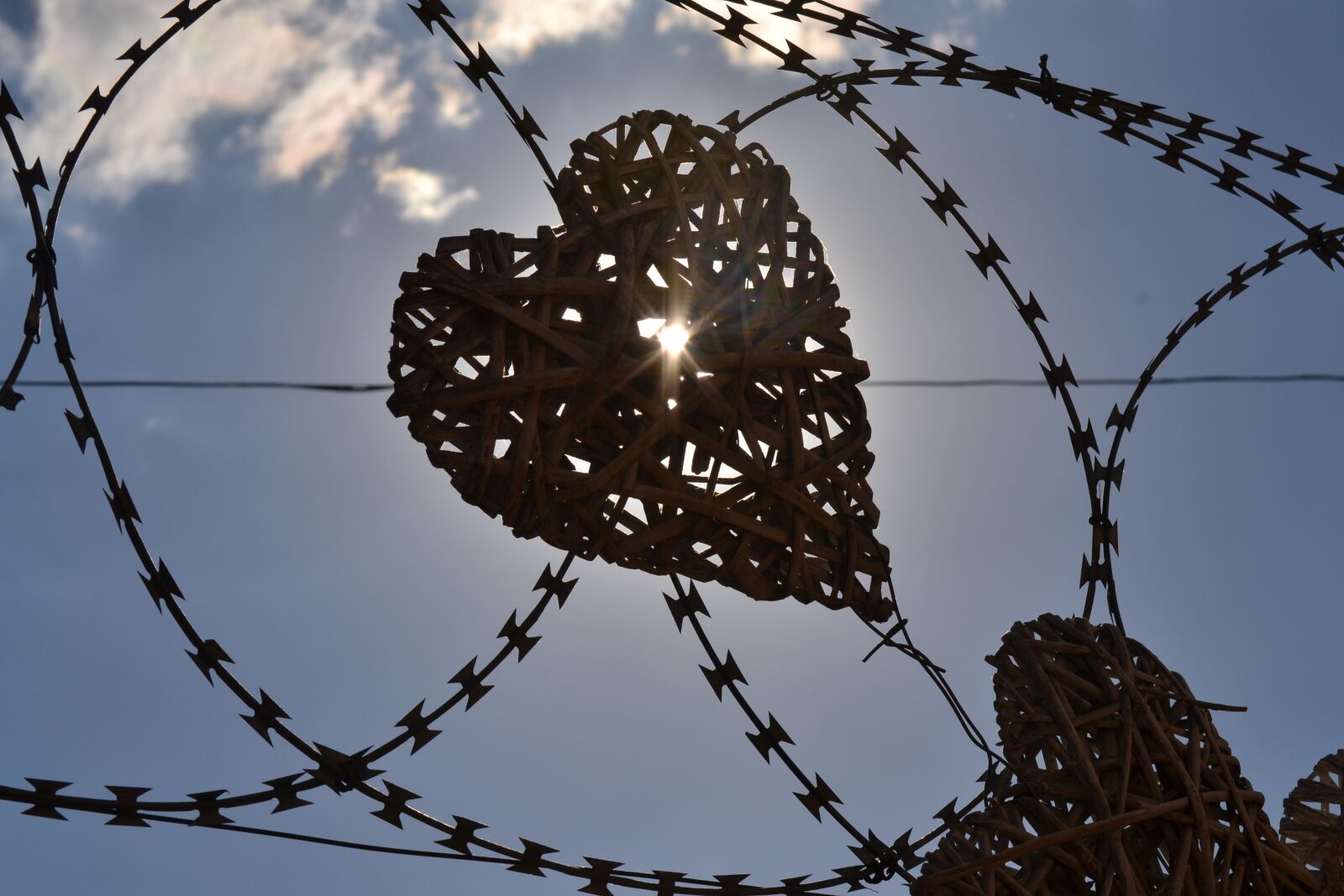 Nikon D3100 sample photo. Heart, security fence, sunlight photography