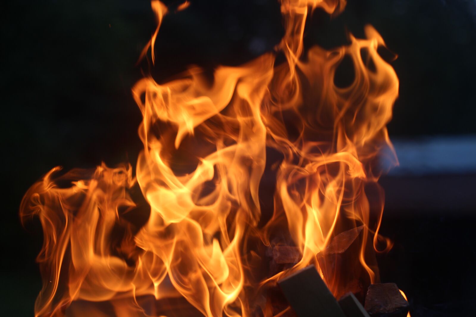 Canon EOS 700D (EOS Rebel T5i / EOS Kiss X7i) sample photo. Fire, hot, garden photography