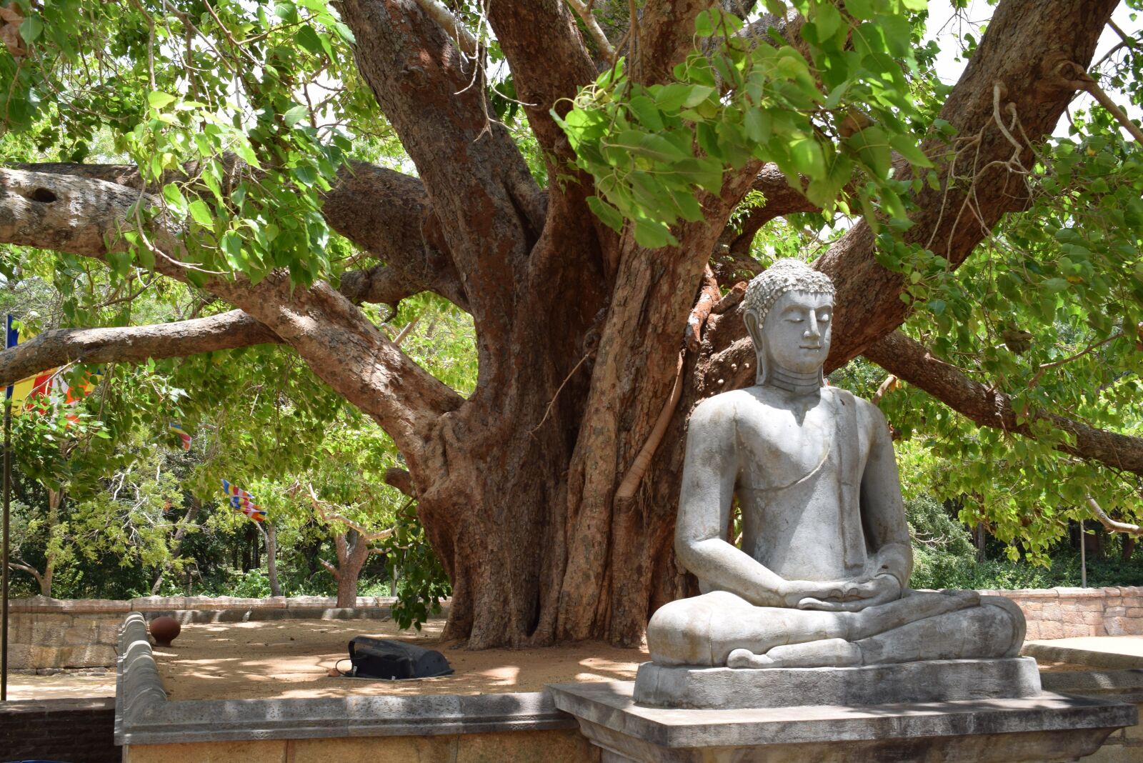 Nikon D3300 sample photo. Buddha, forest, asia photography