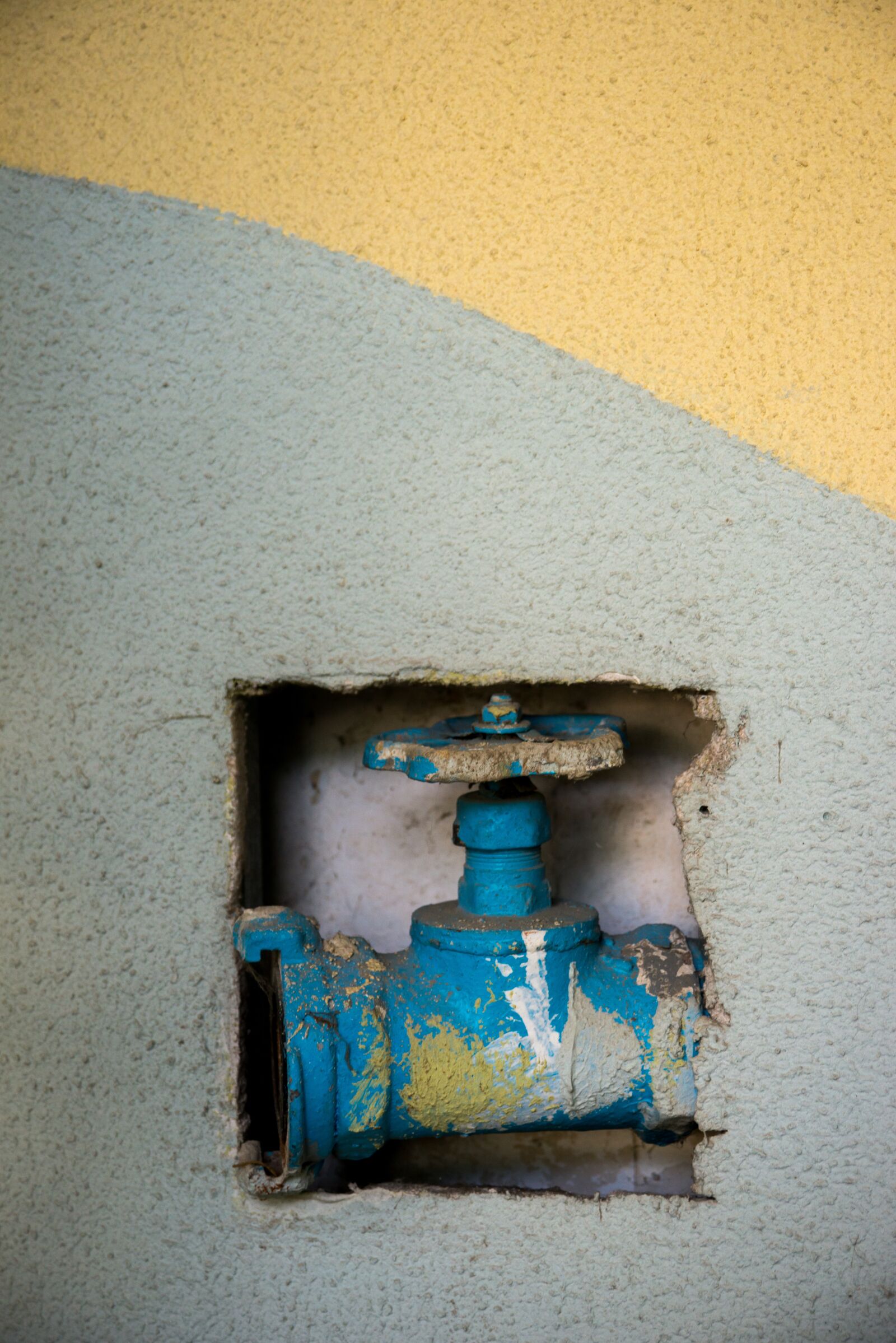 Nikon D800 sample photo. Crane, blue, yellow photography