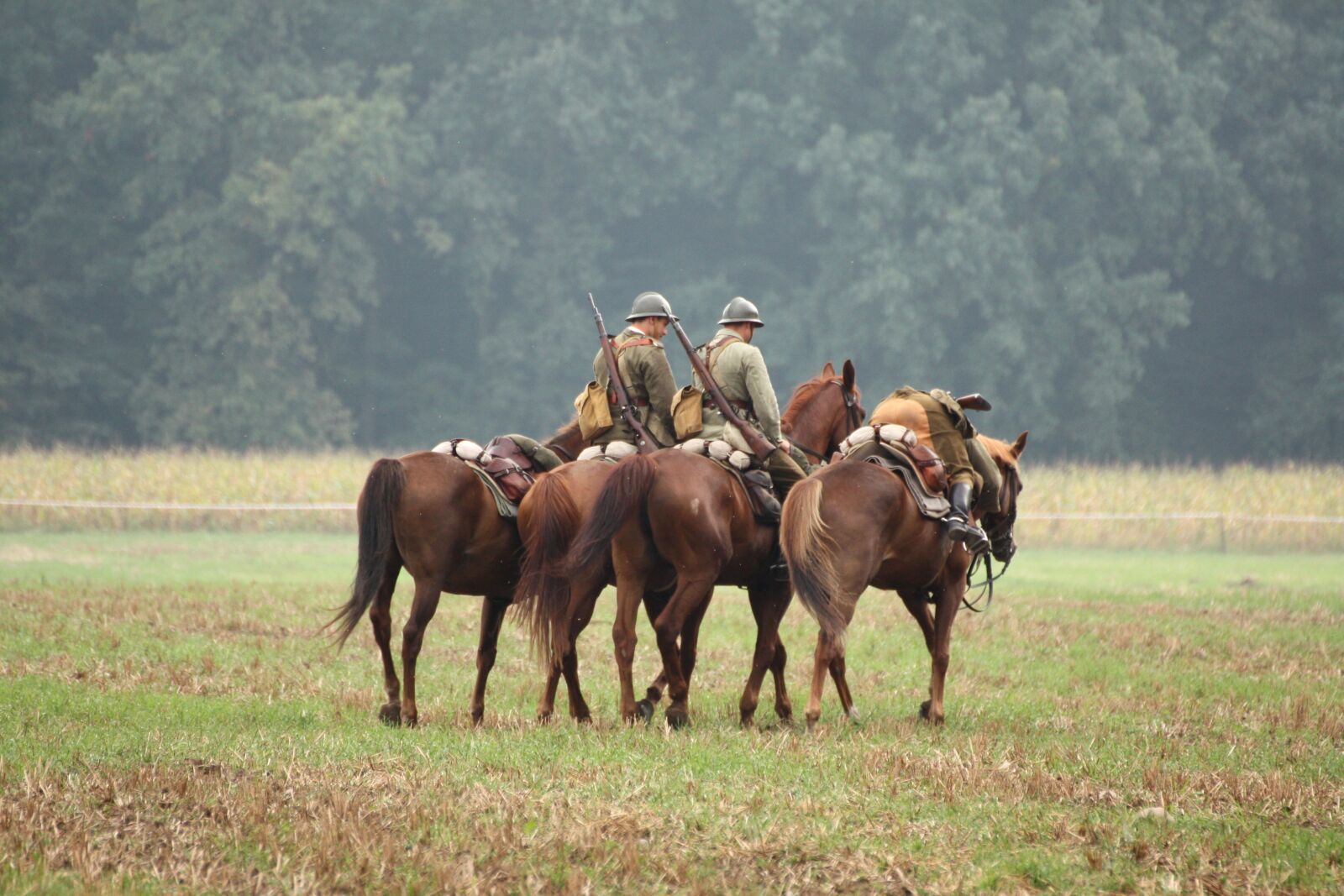 Canon EOS 450D (EOS Rebel XSi / EOS Kiss X2) sample photo. Horses, battle of, the photography