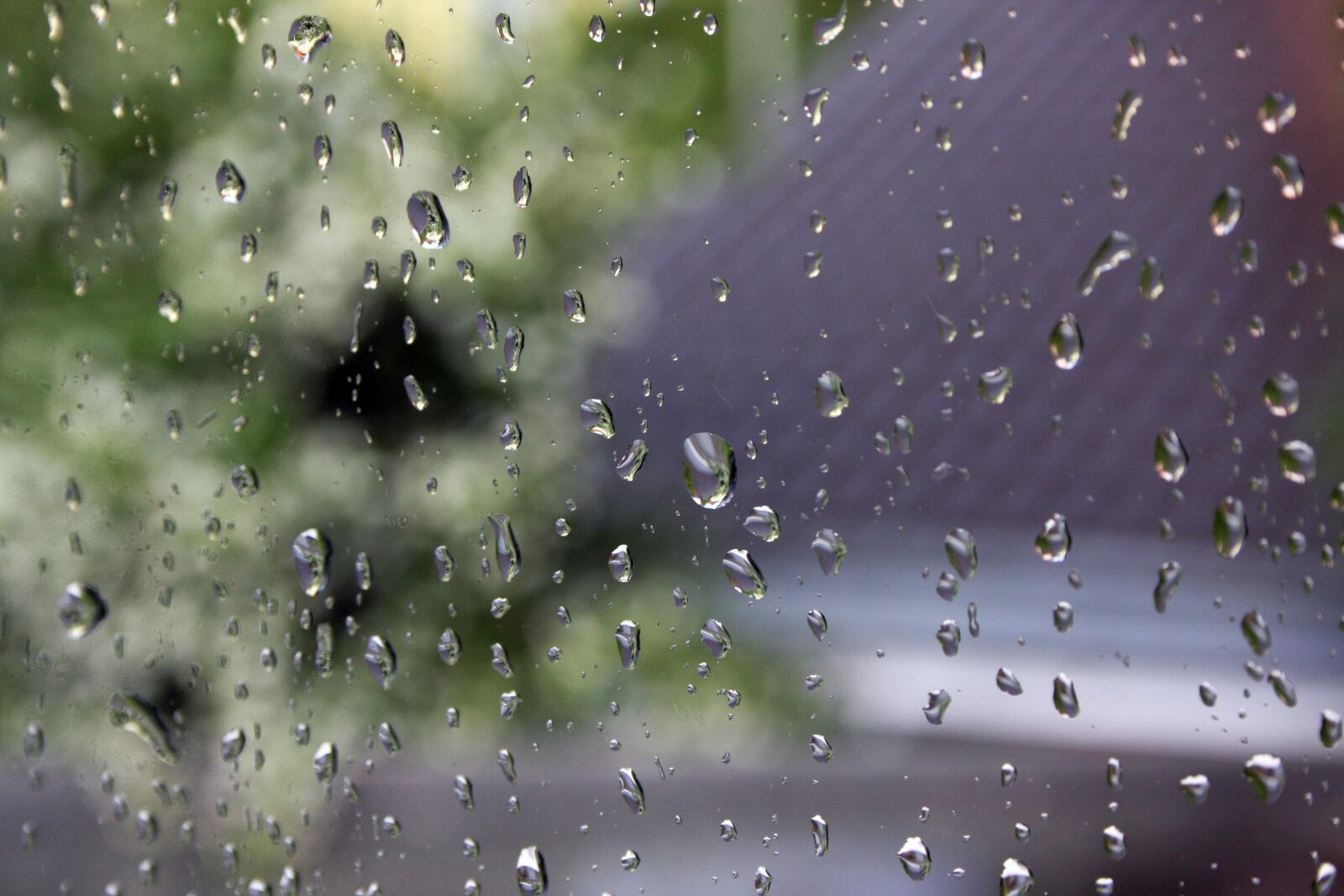 Canon EOS 40D sample photo. Rain, raindrop, water photography